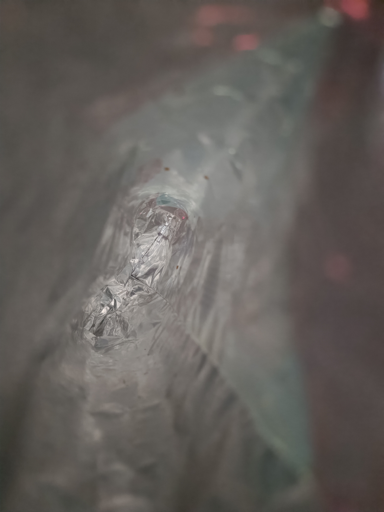 The image shows the inside of a clear plastic bag. The bag's interior appears crumpled and slightly reflective, with a blurred background that suggests other objects or surroundings are outside the bag. The setting is impossible to determine. No people, subjects, or actions are discernible within the frame. The location in Pleven, Bulgaria cannot be confirmed.