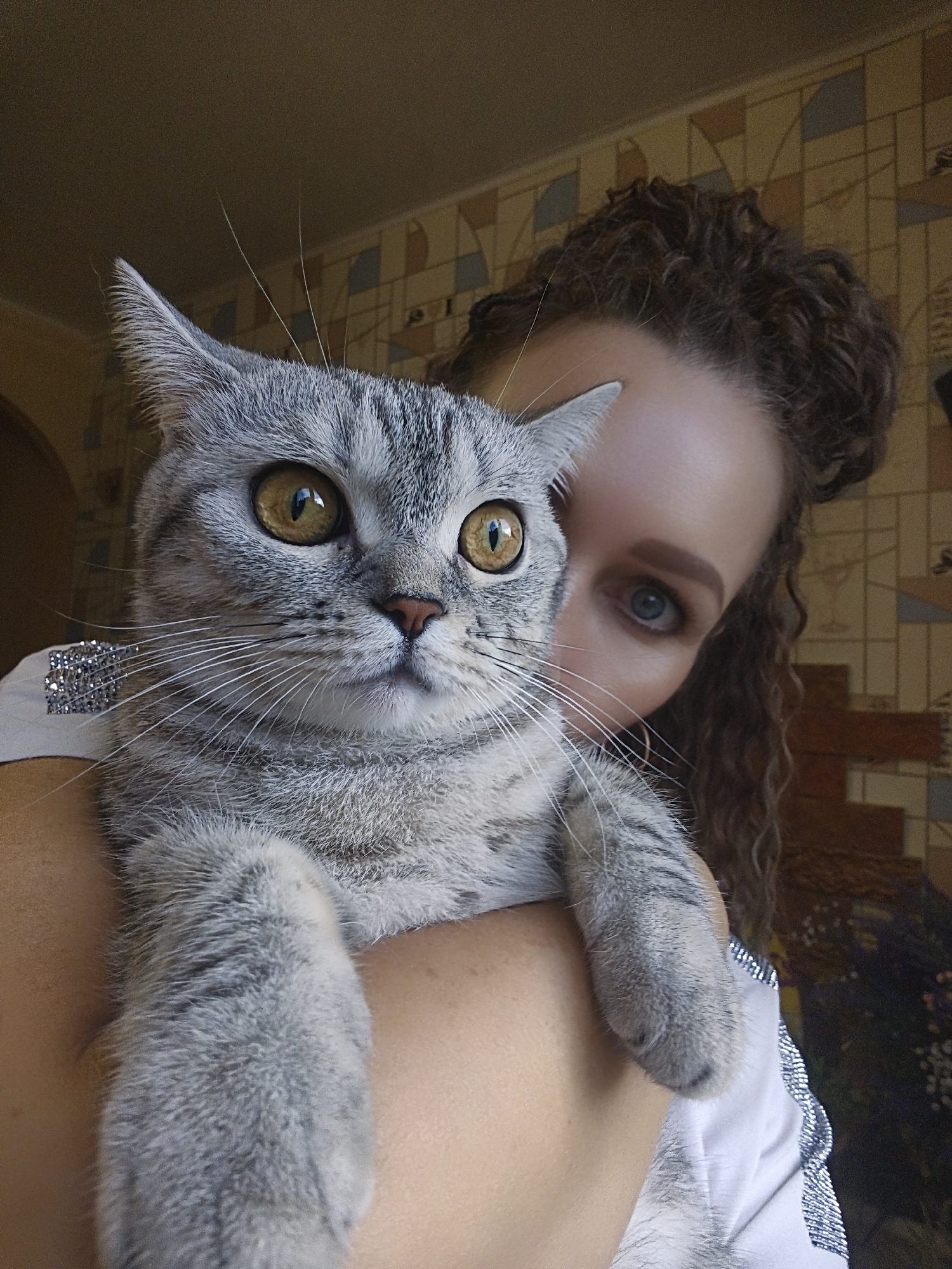 A close-up selfie shows a person holding a grey tabby cat. The cat is on the left side of the frame, facing the camera with large, golden eyes. The person is on the right, with their face partially obscured by the cat. They have curly, dark brown hair and blue eyes. The background is a wall with a patterned wallpaper and what appears to be wooden paneling. The lighting is soft, suggesting it might be indoors during the day.
