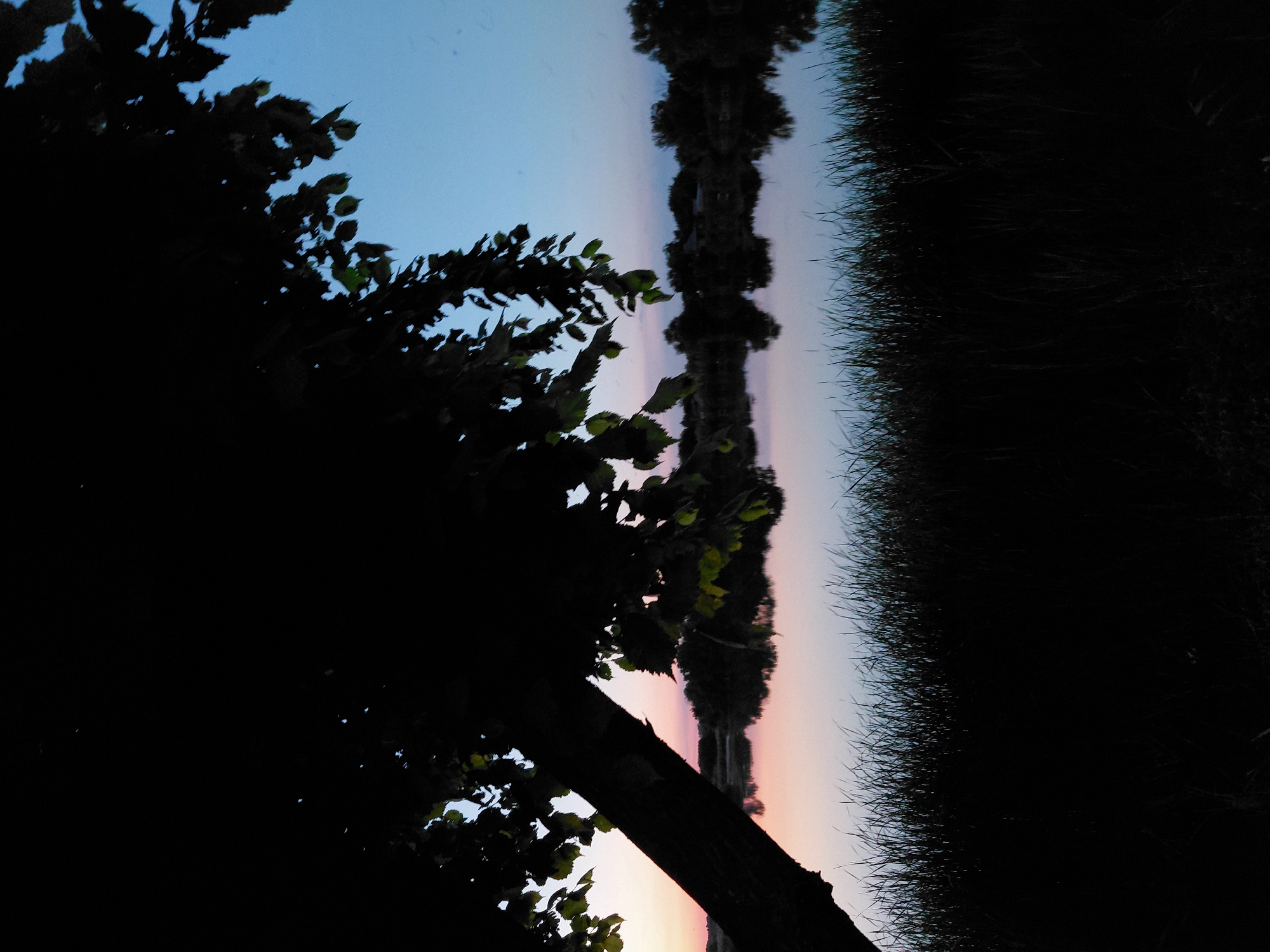 This image depicts a serene dusk scene by a body of water, likely located in or near Ustyvytsia, Ukraine. In the foreground, the dark silhouette of a tree trunk leans diagonally from the left, with its branches and leaves casting shadows against the dusky sky. Below the tree, a dense, dark silhouette of tall grass lines the edge of the water.
The middle ground is dominated by a still body of water, which perfectly reflects the sky and the dark forms of trees and buildings on the opposite bank. The water surface is smooth, indicating minimal wind.
The background reveals a faint line of trees and structures along the far bank, all rendered in dark silhouettes. The sky transitions from a soft pink and orange hue near the horizon, indicative of sunset, to a pale blue at the top of the frame. The overall atmosphere is one of quiet tranquility as daylight fades. There are no people or animals visible in the image.