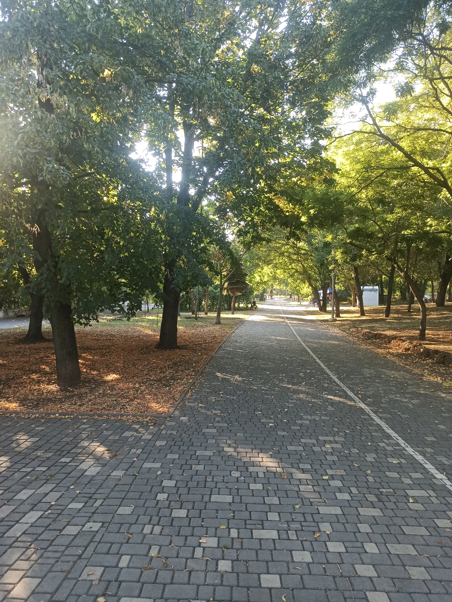 A paved pathway lined with trees stretches into the distance in Odesa, Ukraine. The path is made of gray rectangular pavers and has a white line marking its edge. Fallen leaves litter the ground on either side of the path, and sunlight filters through the dense green foliage of the trees, casting shadows on the pathway. Several large trees with thick trunks stand along the left side of the path, their branches laden with leaves. In the background, more trees are visible, creating a tunnel-like effect, and a white structure, possibly a kiosk or small building, can be seen in the distance. The scene depicts a serene park or boulevard, suggesting a pleasant day for a walk or recreation.