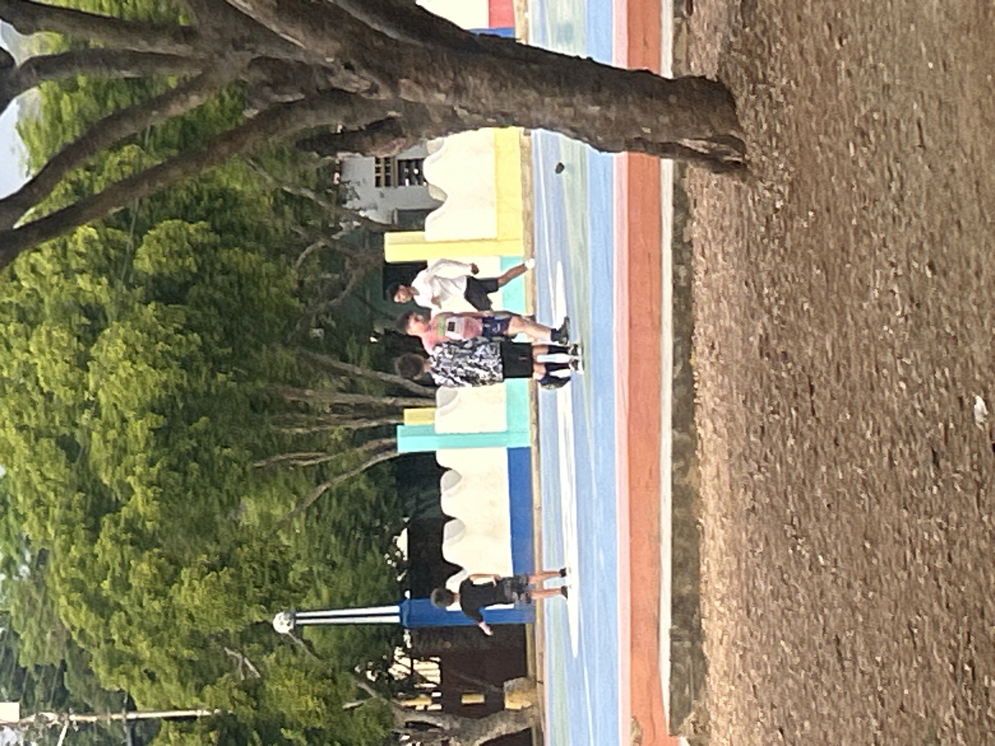 The image depicts an outdoor recreational area, likely a basketball court, in Santa Ana, Venezuela. The court surface is painted in bright colors, with a blue and lighter blue expanse bordered by an orange perimeter. In the foreground, a rough, brown, gravelly ground is visible, partially obscuring the base of a large tree trunk. In the background, lush green trees form a dense canopy, with some buildings and infrastructure visible through them.
Several individuals are present on the court. On the left, a young boy in a black t-shirt and patterned shorts stands facing away from the camera. To his right, three teenage males are interacting. One, wearing a pink t-shirt and blue shorts, is looking towards the right. Another, in a black and white patterned shirt and dark shorts, is facing the first boy. The third individual, in a white long-sleeved shirt and dark shorts, is facing left, appearing to be in motion. A dark, spherical object, possibly a ball, is visible on the court near the center. The scene suggests a casual game or practice taking place.