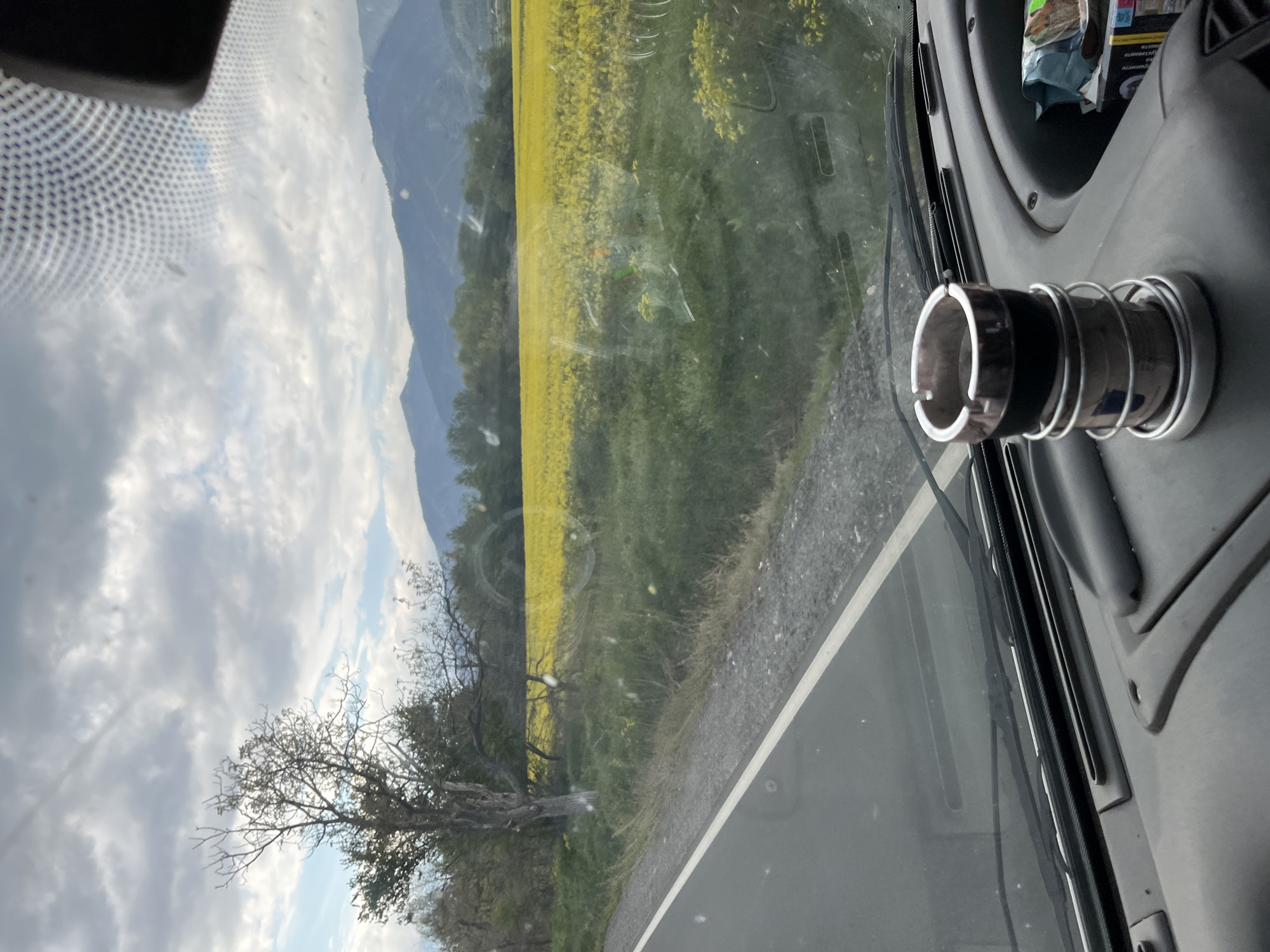 The image captures a daytime view from inside a vehicle, looking out through the windshield at a rural landscape. The road is visible in the lower right, with a gravel shoulder separating it from the natural surroundings.
In the immediate foreground, within the vehicle, a portion of the dashboard is visible on the right, featuring a chrome or metallic spring-loaded holder, possibly for a cup or device. Further back on the dashboard, a blurry packet of goods, likely food packaging, can be seen. The upper left corner of the windshield shows a section of a rearview mirror housing and a dotted pattern on the glass. Windshield wipers are present at the bottom edge of the windshield. The windshield itself shows some reflections and smudges.
The midground features a vibrant yellow field, likely of blooming rapeseed or canola, stretching across the landscape. To the left, a prominent bare tree with dark, intricate branches stands out, with other green trees and foliage in the vicinity.
In the background, majestic mountains rise, appearing blueish and hazy under a sky that is largely covered by white and grey clouds, though patches of blue sky are also visible. The lighting suggests a bright, partly cloudy day. The combination of the yellow fields and mountains is consistent with the provided location context of Pevtsite, Bulgaria. No legible text is visible in the image.