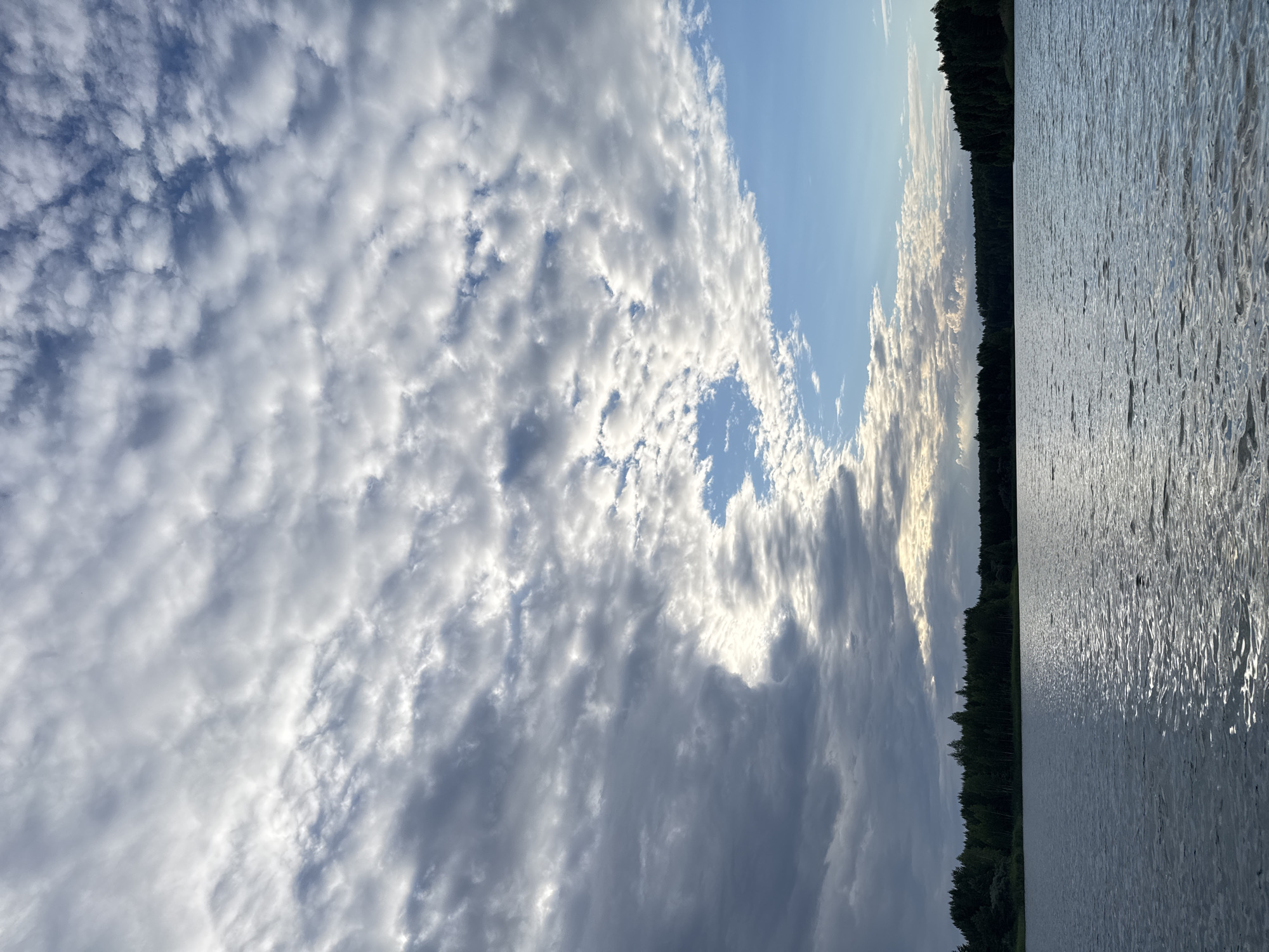 The image depicts a serene natural landscape of a lake bordered by a dense, dark green forest. The water's surface is calm, with subtle ripples reflecting the sky's light. The sky above is a dynamic canvas of clouds, with patches of bright blue interspersed with dramatic, textured formations of grey and white clouds. The overall lighting suggests it is late afternoon or early evening, casting a soft glow over the scene. The location is identified as being in the city of Novyi, Russia. There are no people or man-made structures visible in the image, emphasizing the untouched nature of the environment.
