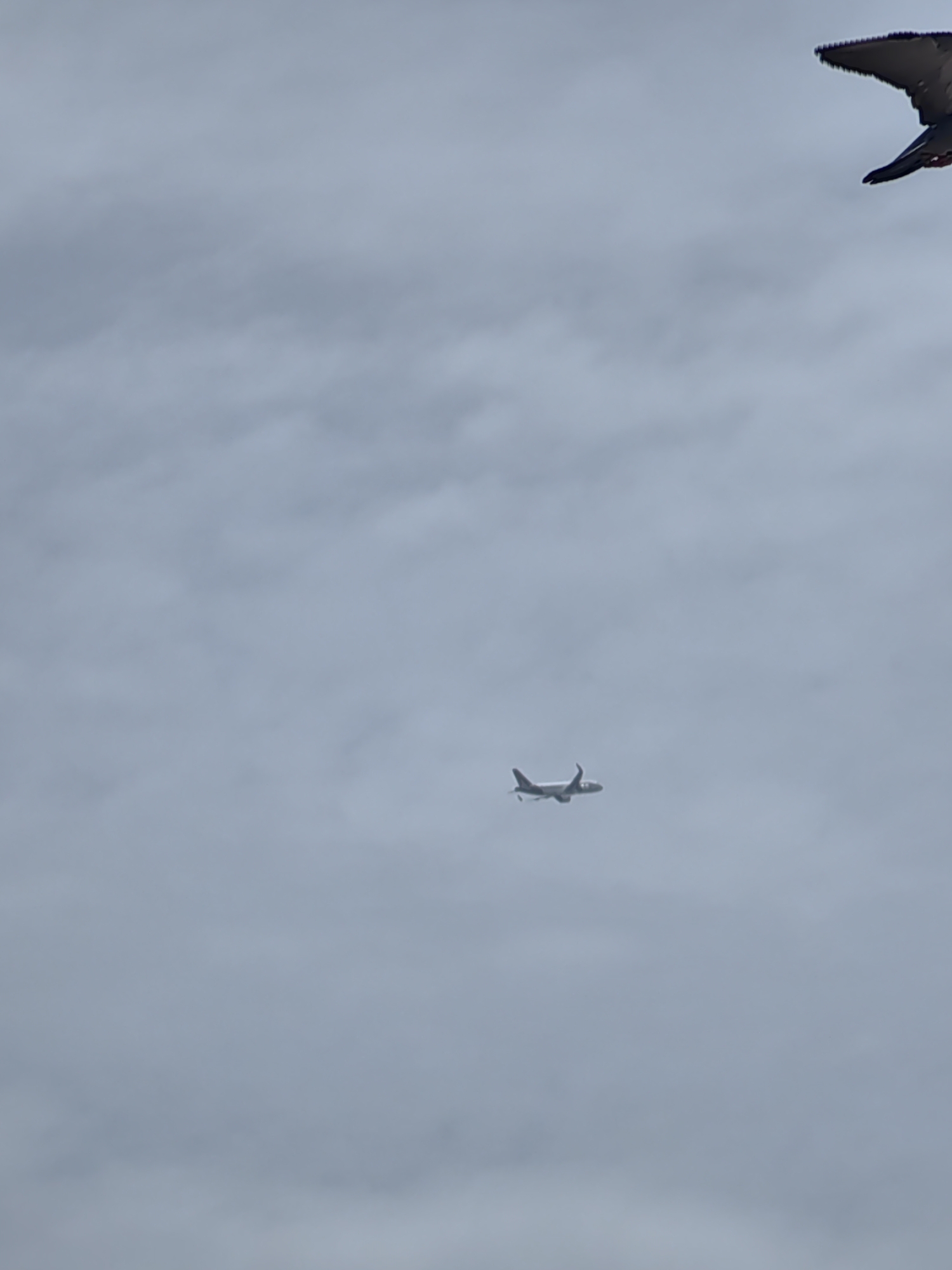 The image shows a cloudy sky with an airplane flying in the distance. In the upper right corner, a bird is also visible, seemingly in flight. The airplane is a commercial jet with visible wings and fuselage. The bird appears to be a pigeon or a similar-sized bird. The overall scene is mundane, depicting a common sight in urban environments. There are no discernible landmarks or specific details that would indicate the location as Mumbai, India. The image is captured from a ground-level perspective, looking up at the sky.