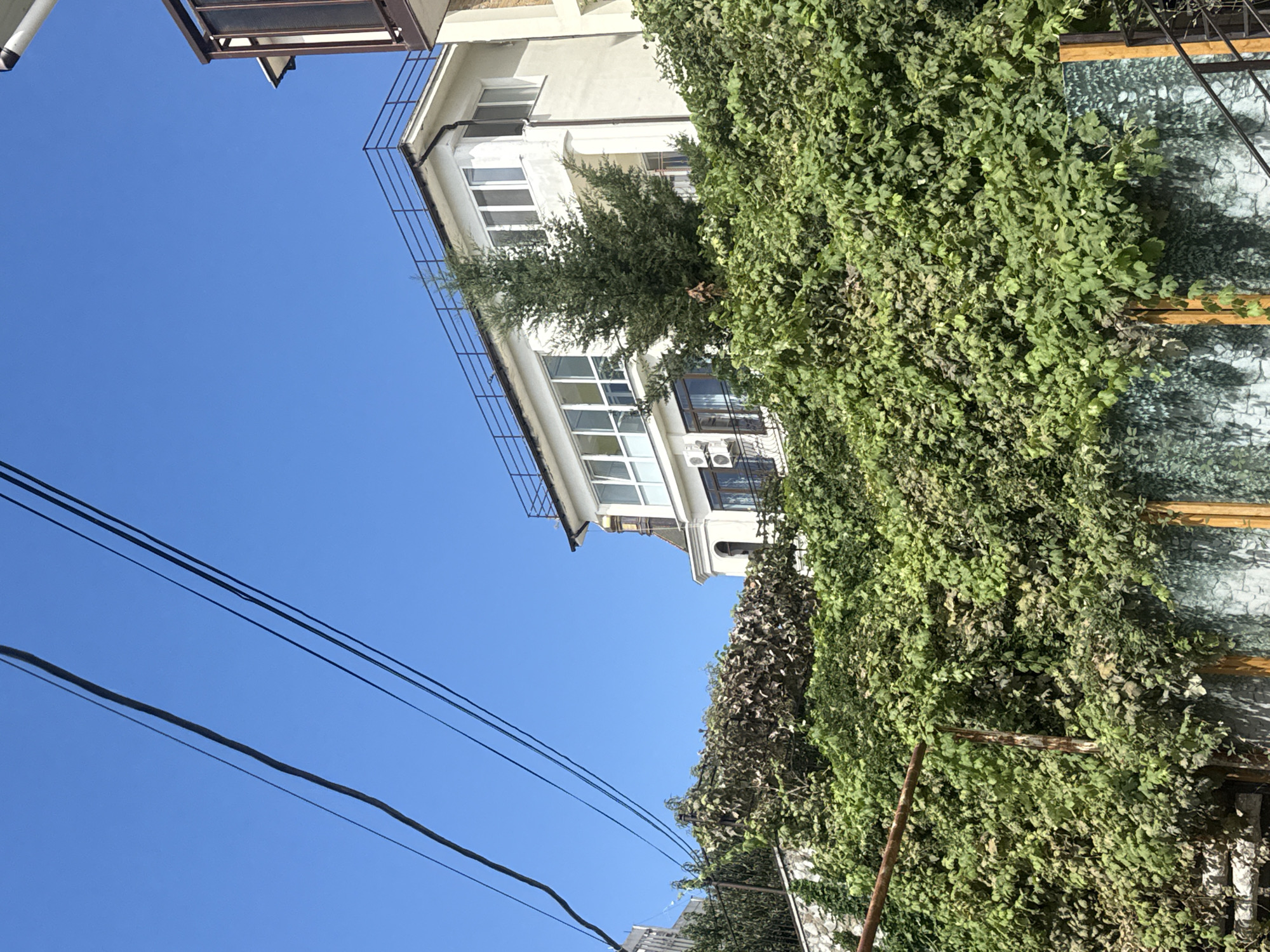 The image depicts a white multi-story building situated on a hillside, largely obscured by dense green foliage and trees. The building has multiple windows and a balcony with a railing on the top floor. Power lines are visible against a clear blue sky. The lower part of the scene shows a wall covered with more vegetation, with parts of a decorative panel and a staircase visible. The overall impression is of a residential structure integrated into a natural, overgrown landscape. This scene is located in Partenit, Ukraine.