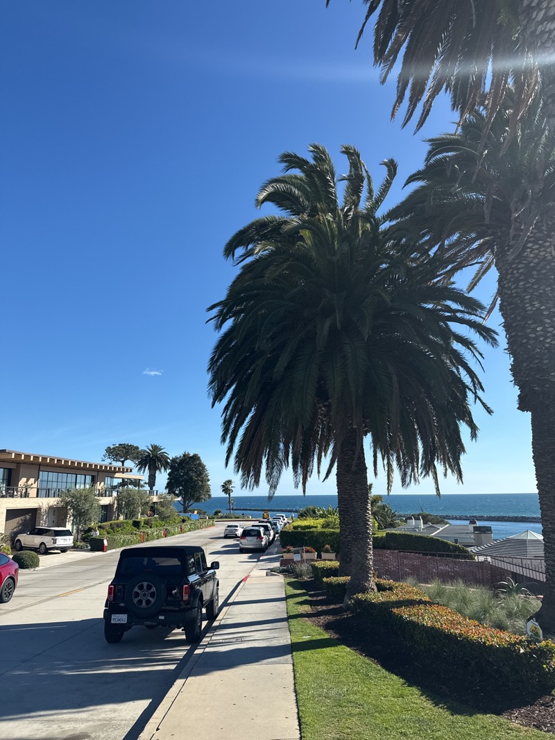 The image captures a street scene in Newport Beach, United States, showcasing a row of parked cars and a black Jeep Bronco parked on the side of the road. Tall palm trees dominate the right side of the frame, casting shadows on the sidewalk. On the left, a modern building is visible, adding to the coastal ambiance. The scene overlooks the ocean. The sky is clear blue.