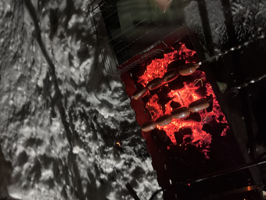 A charcoal grill glows with red-hot coals. Skewers hold rows of sausages, cooking over the intense heat. The stark contrast highlights the brightness of the grill against the darkness surrounding it. Adjacent to the grill, snow covers the ground. The scene creates an interplay between the warmth of the cooking fire and the cold, snowy environment.