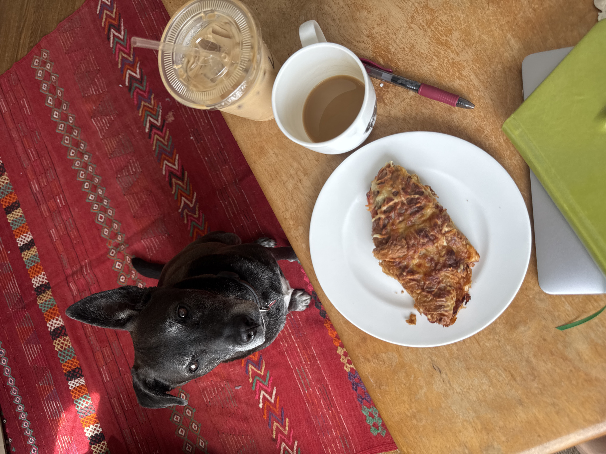 A high-angle shot depicts a tabletop scene, centered around food, beverages, and personal items, with a dog featured prominently.
A black dog with a silver muzzle lies on a red rug decorated with geometric patterns. It appears to be looking upwards toward the camera.
Adjacent to the dog, on the bare wooden tabletop, are a plastic cup filled with a milky iced coffee, a white mug containing a light-colored beverage, and a pink pen. A white plate holds a piece of cooked food, potentially a pastry or quiche, and next to the plate are a laptop and a green notebook.
The scene suggests an informal setting, possibly a home or cafe in New York City, USA.