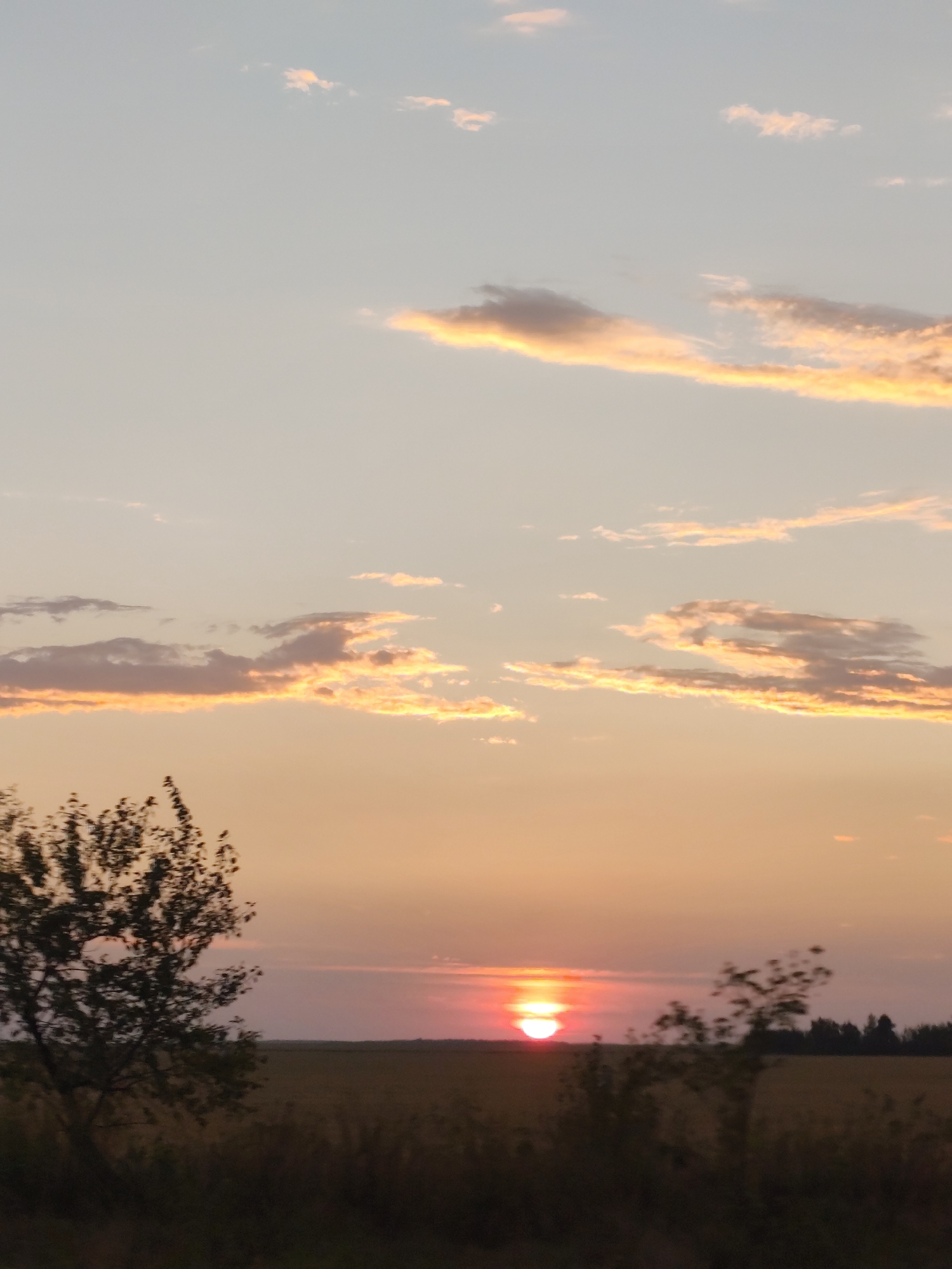 The image depicts a sunset over a rural landscape in the Жаңажол ауылдық округі, Kazakhstan. The sky is a gradient of soft blues, pale oranges, and pinks, with scattered clouds tinged with golden light. The sun, a bright orange orb, is low on the horizon, partially obscured by a thin band of clouds. In the foreground, silhouetted against the vibrant sky, is a line of dark trees and vegetation, with a single, larger tree on the left side of the frame. The ground appears to be a field of dry grass or crops, fading into the distance. The overall impression is one of a tranquil, natural setting at the end of the day.