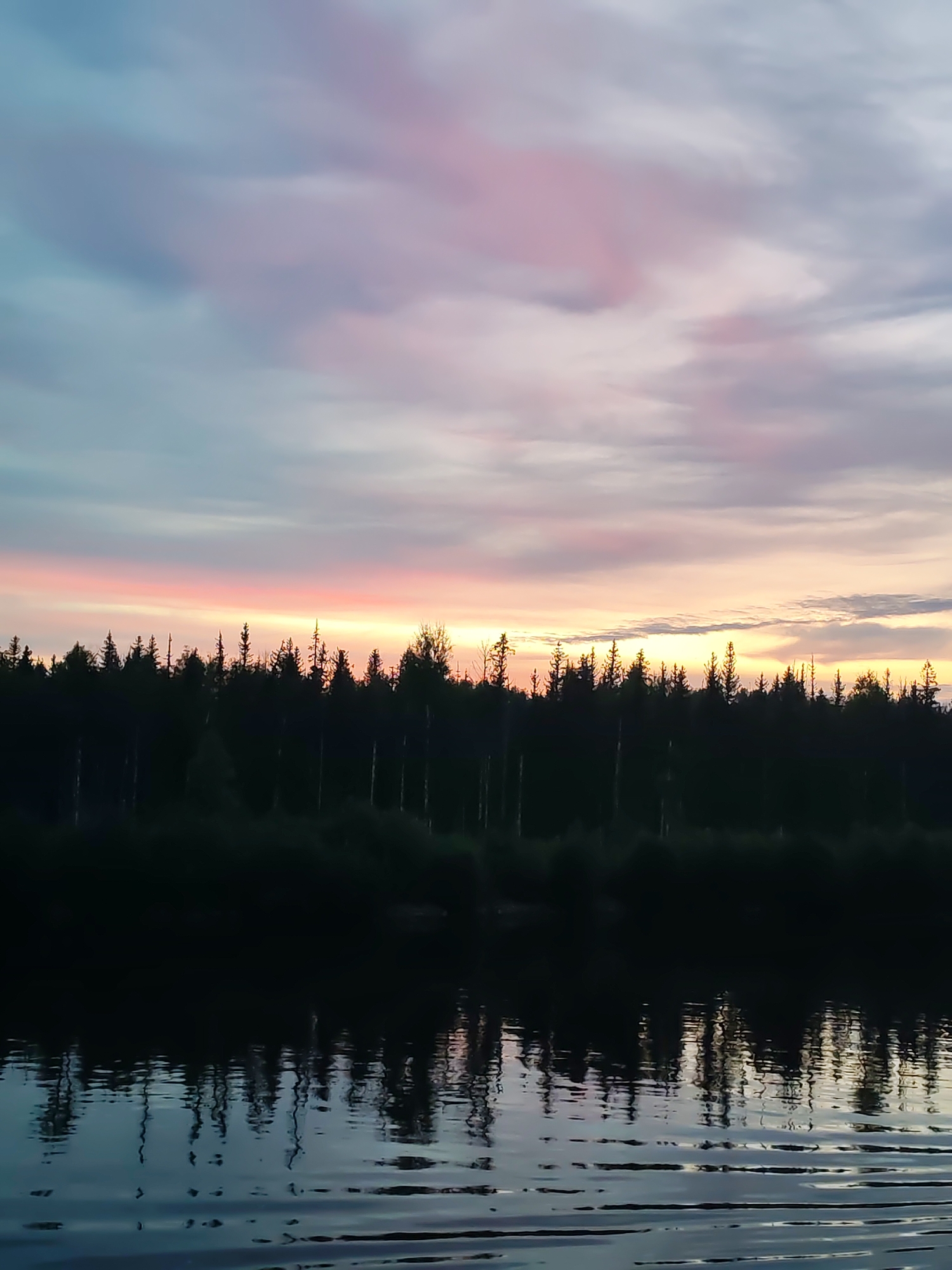A silhouetted treeline of evergreen trees stretches across the middle ground of the image. Above the treeline, the sky transitions from a pale yellow and pink near the horizon to a mix of blue and muted pink clouds higher up. The foreground features dark, still water reflecting the trees and the colors of the sky. The scene depicts a natural landscape, likely a lake or river, with a forest bordering the water under a twilight sky. The location is identified as Kurdiug, Russia.