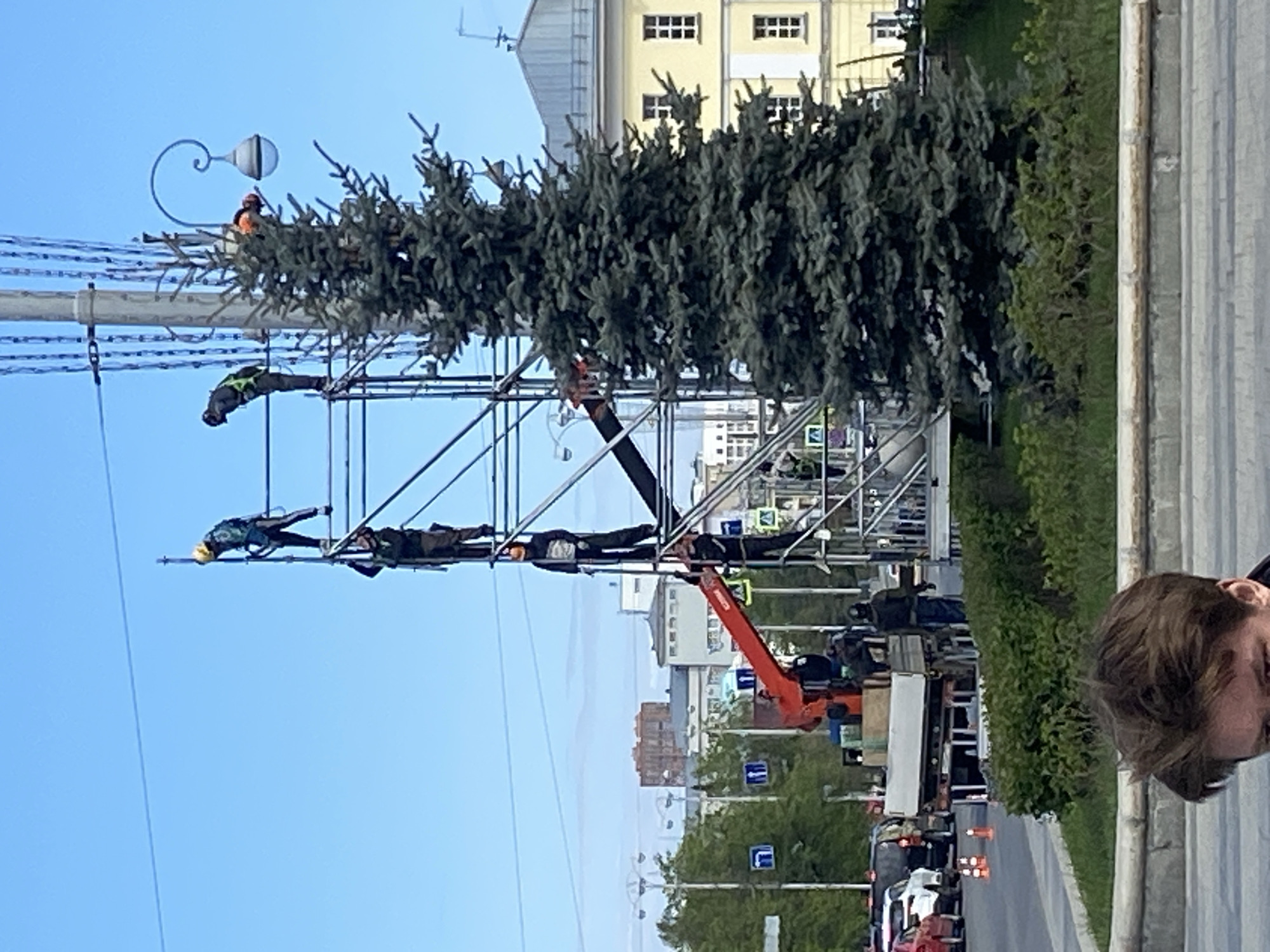 The image depicts a crew installing decorations for the 300th anniversary of the city of Yekaterinburg, Russia, in May 2023. Five people are visible on a tall metal scaffolding structure, positioned above a street. Two individuals on the uppermost level appear to be working directly with a large fir tree-like decoration, while three others are positioned on lower levels of the scaffolding. A crane truck is visible below the scaffolding, possibly used to lift and position the decorations. The surrounding environment includes buildings, streetlights, trees, and cars on the street. A sidewalk and the side of a person's face are visible in the lower right corner of the image.