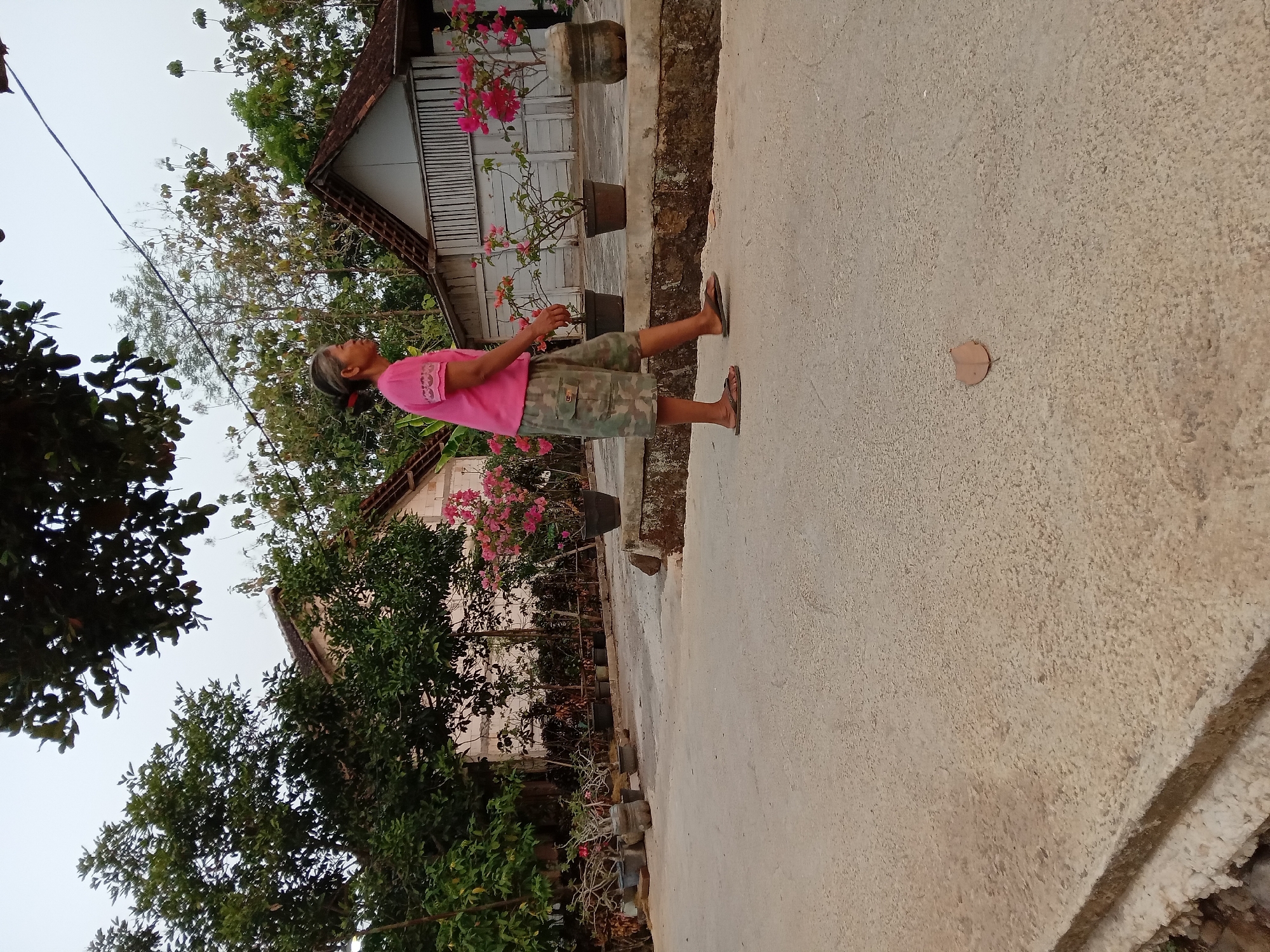 An elderly woman with gray hair pulled back into a bun, wearing a pink short-sleeved shirt and camouflage-patterned shorts, is walking from left to right across a concrete path. She is wearing flip-flops. The path is lined with potted plants, including bougainvillea with pink flowers. In the background, there are two small houses with white walls and dark roofs, surrounded by trees. The overall scene suggests a rural or semi-rural residential area in Kedunggudel, Indonesia. The lighting indicates it is either early morning or late afternoon.