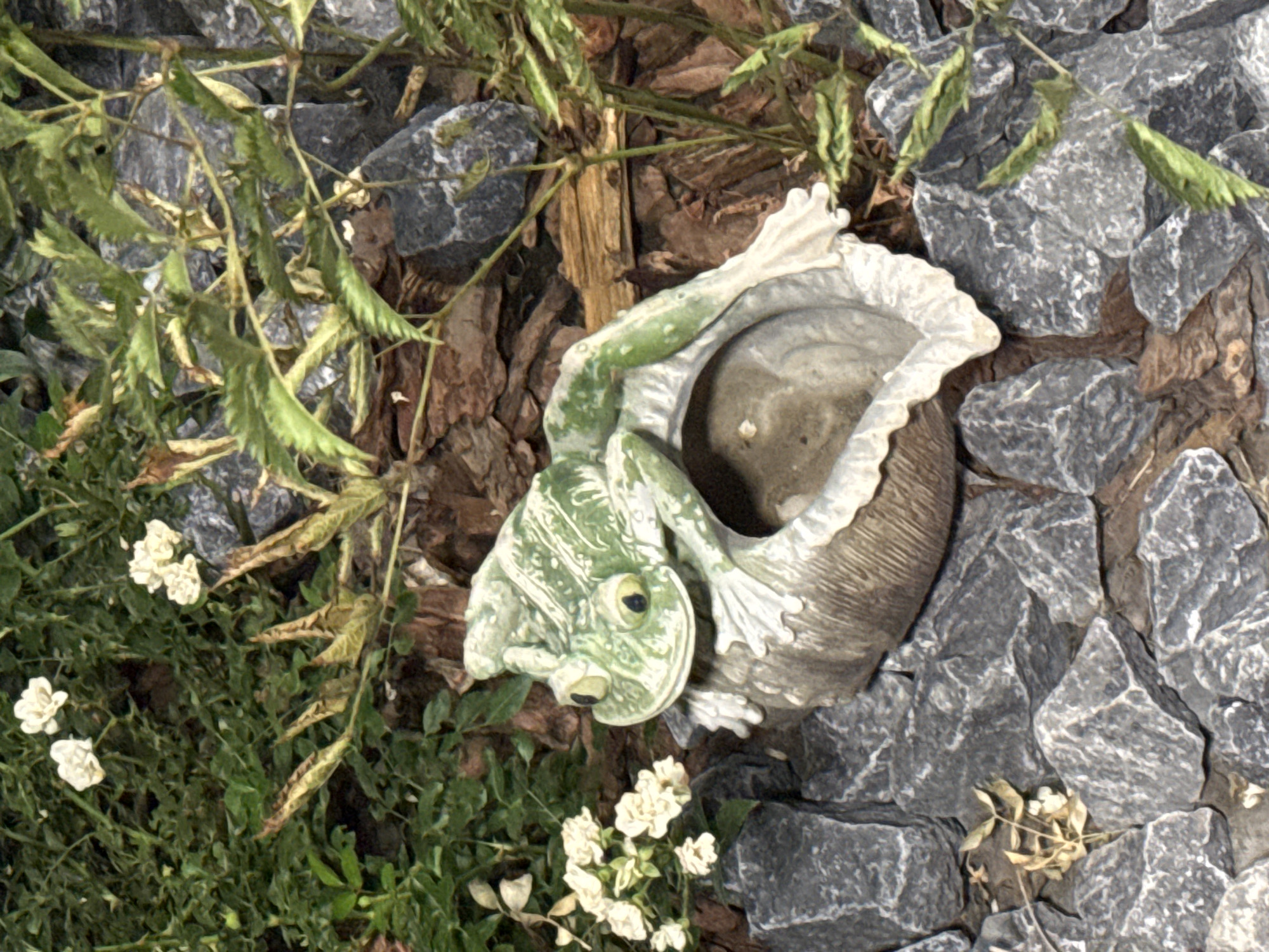 A garden ornament resembling a frog sits on a shell-like object. The frog is green with white markings. It is surrounded by gray rocks, brown mulch, and green foliage with small white flowers. The setting appears to be outdoors in a garden. The image does not provide any specific information about the location in the city of Tash-Moinok, Kyrgyzstan, nor does it depict any people or actions.