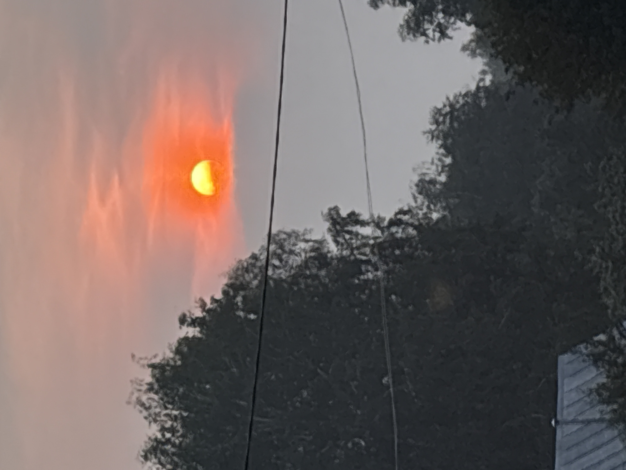 A bright orange sun is low in a hazy, pinkish-grey sky, partially obscured by a soft cloud. The sun is positioned in the upper right quadrant of the image. Below the sun, a dense line of dark green trees stretches across the frame, creating a silhouette against the brighter sky. The trees are varied in height and density, with some appearing closer and more detailed than others. Two thin, dark horizontal lines, possibly power or telephone wires, bisect the upper portion of the image, running in front of the trees and sky. In the lower left corner, a portion of a grey, angled roof is visible, suggesting a building or structure is present. The overall atmosphere of the image is muted and somewhat diffused, likely due to the haze or sunset lighting. The scene is an outdoor environment, possibly a rural or suburban area, given the presence of trees and a roof, with the sun setting or rising.