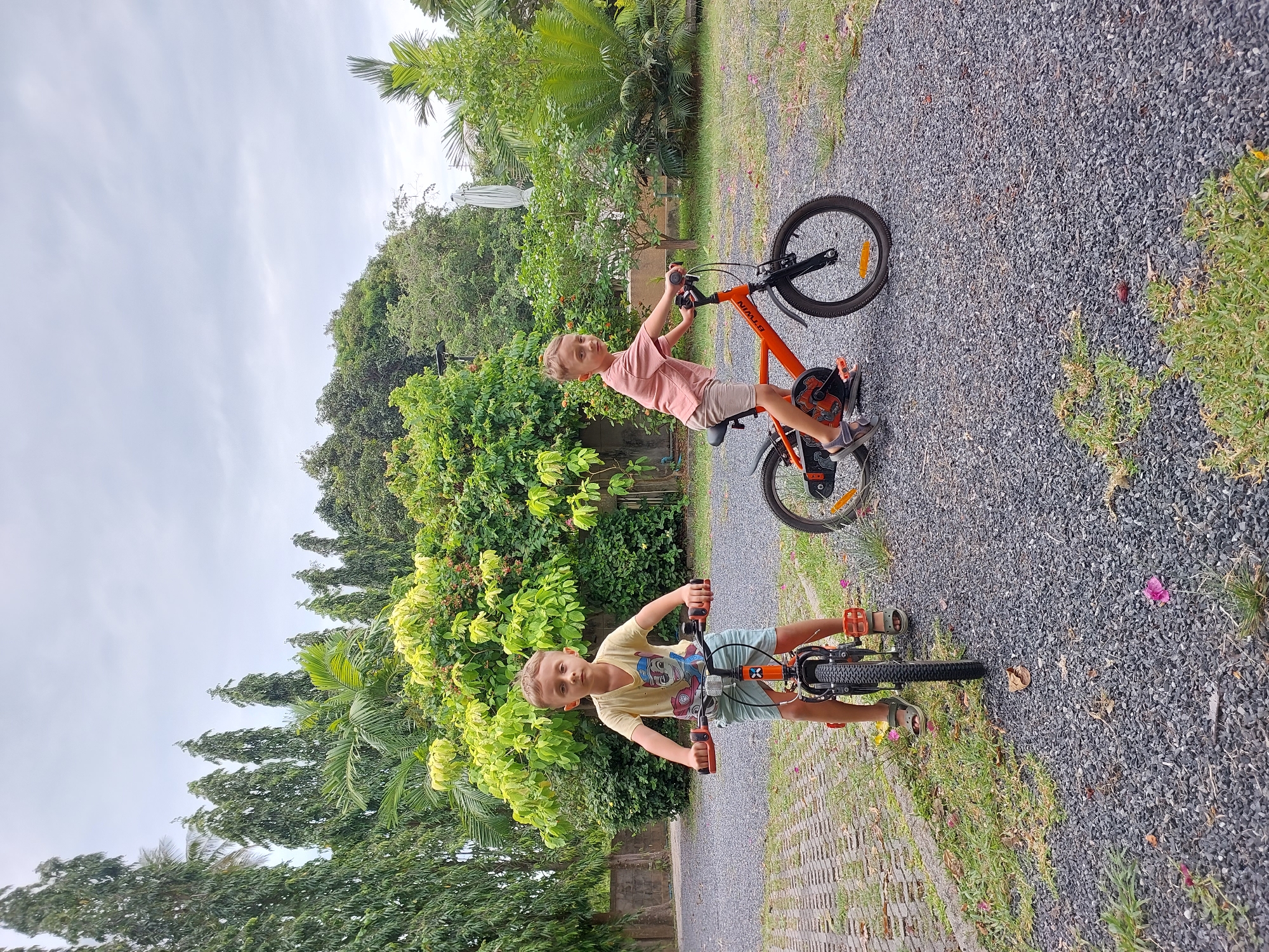 Two young Caucasian boys are on bicycles in an outdoor area. The boy on the left, wearing a yellow t-shirt with a cartoon character and blue shorts, is facing the camera and is positioned on a black and orange bicycle. He has short, light brown hair and is wearing sandals. The boy on the right, wearing a pink t-shirt and beige shorts, is looking slightly to his left and is on a similar orange and black bicycle. He also has short, light brown hair and is wearing sandals. Both boys appear to be between the ages of 5 and 7.
The ground is covered with dark gray gravel. To the left of the frame, there is a paved area with a raised edge and some grass, with pink flowers scattered throughout. Behind the boys is a lush green area with various trees and bushes, including tall, slender trees and broad-leafed plants. In the background, there is a stone wall and more greenery. The sky is overcast, suggesting a cloudy day. The scene appears to be a residential area or a park in a tropical climate, possibly Ko Samui District, Thailand, given the vegetation and architectural style.