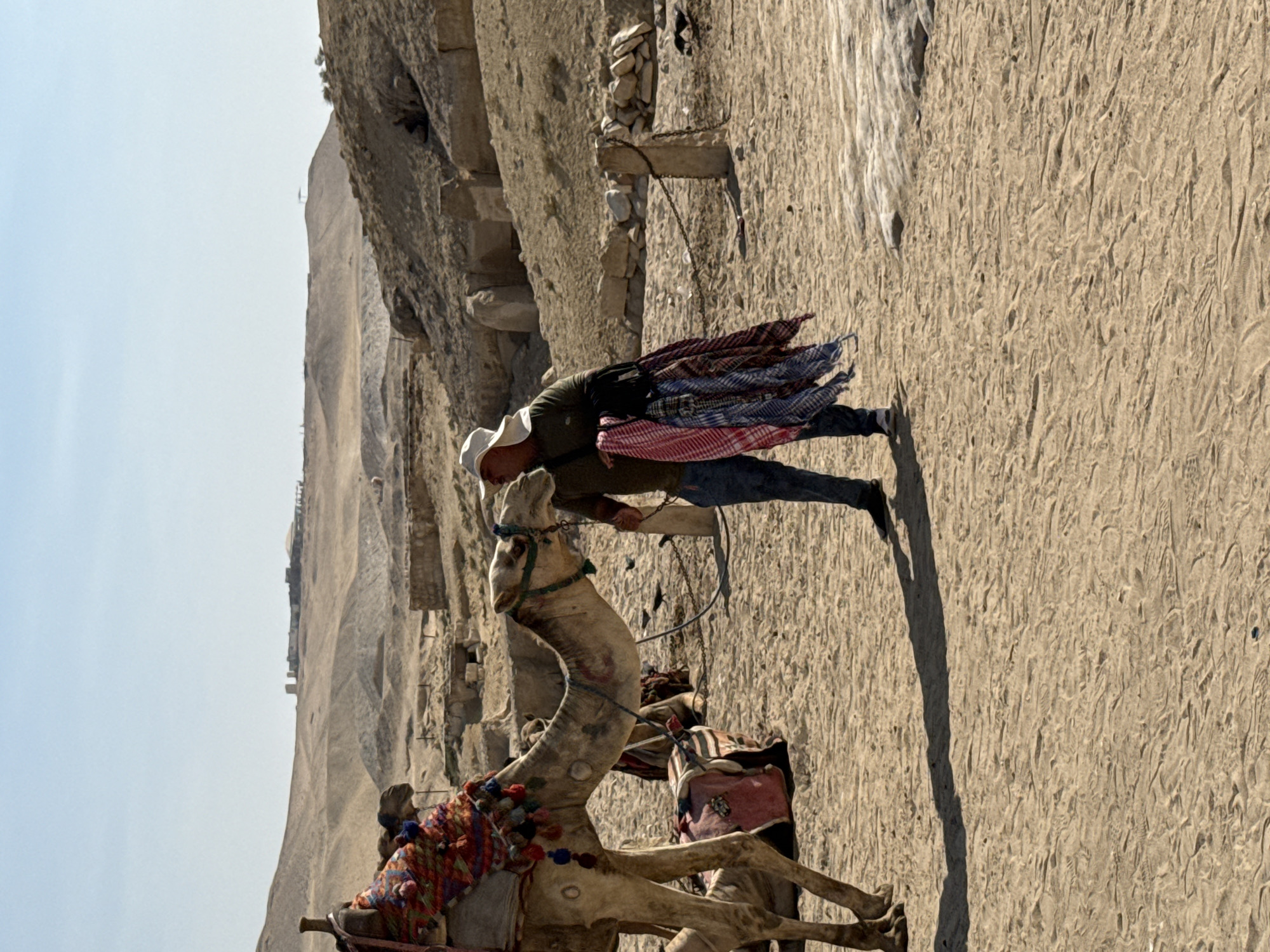 A person wearing a white hat, a dark green shirt, and blue jeans stands in a sandy desert landscape in Giza, Egypt. They are holding several colorful scarves. To their left, a camel is partially visible, adorned with a saddle and decorative tassels. In the background, there are rocky hills and structures that suggest an archaeological or historical site. The ground is covered in sand, with visible footprints and debris. The sky is clear and blue.