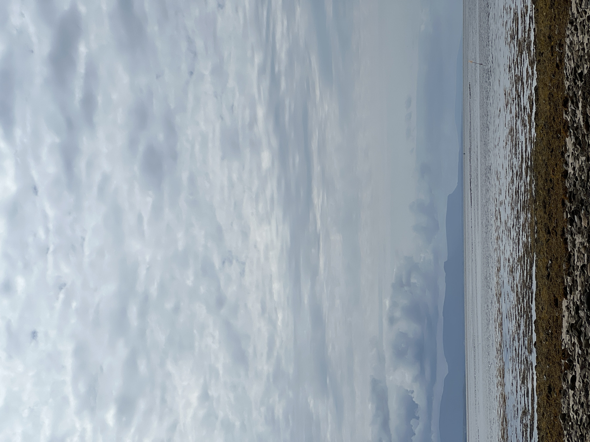 The image depicts a coastal scene with a rocky shore in the foreground, covered with seaweed. The water beyond the shore is shallow, revealing patches of seaweed. In the distance, a line of poles stretches across the water, possibly a breakwater or a marker. Beyond the water, a mountain range forms the horizon under a cloudy sky. The scene is likely located in or near Dunuisce, Ireland, given the presence of coastal landscapes and cloudy weather.