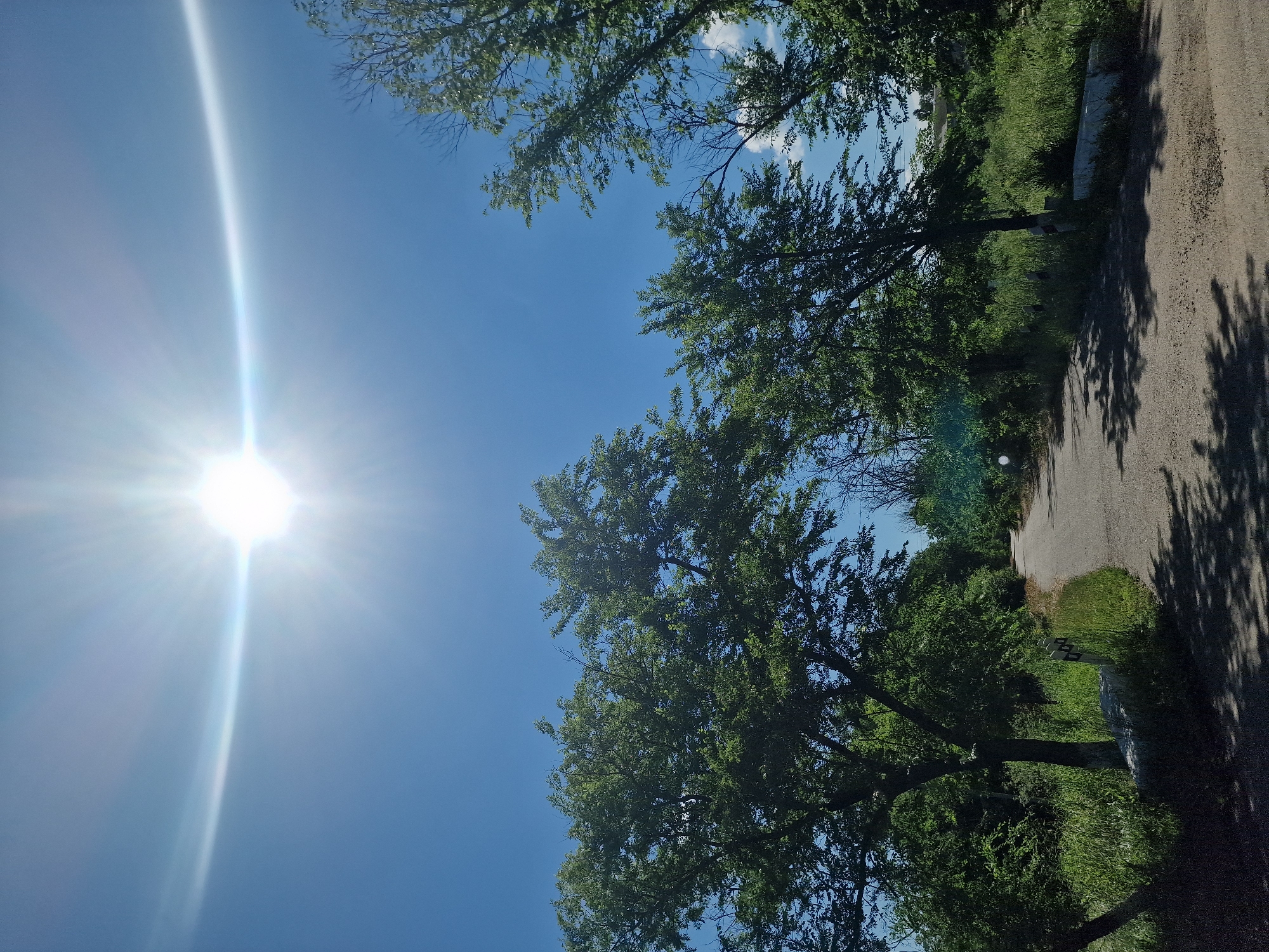 The image depicts a sunny day with a bright sun radiating light in the upper portion of the frame against a clear blue sky. A paved road, possibly a country lane or rural path, leads into the distance, lined with lush green trees and vegetation on either side. Shadows from the trees are cast onto the road's surface, indicating the direction of the sun. Several white, rectangular markers with black numbers are visible along the side of the road. The environment appears to be natural and somewhat overgrown, suggesting a location outside of a densely populated urban area. The scene suggests a quiet, possibly rural setting in the village of Kursava, Russia, during daylight hours, characterized by natural light and the presence of a road and surrounding greenery.