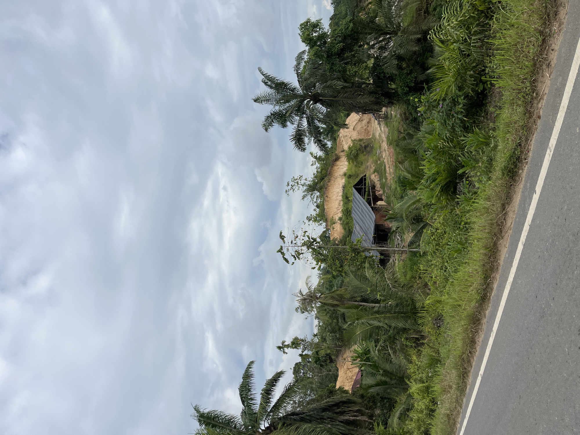 The image depicts a roadside view of a rural area with lush vegetation and a cloudy sky. In the foreground, a grey asphalt road with a white line marking is visible on the left side. The road runs alongside a grassy verge with various green plants and some taller trees. Further into the scene, there is a clearing on a hillside with exposed soil, suggesting some form of excavation or construction. Two simple structures, possibly houses or sheds with dark roofs, are situated among the trees and vegetation. Palm trees are prominent throughout the landscape, along with other dense foliage. The overall environment appears to be tropical and undeveloped. The scene is located in the city of Sukaramai Dua, Indonesia. There are no people visible in the image.