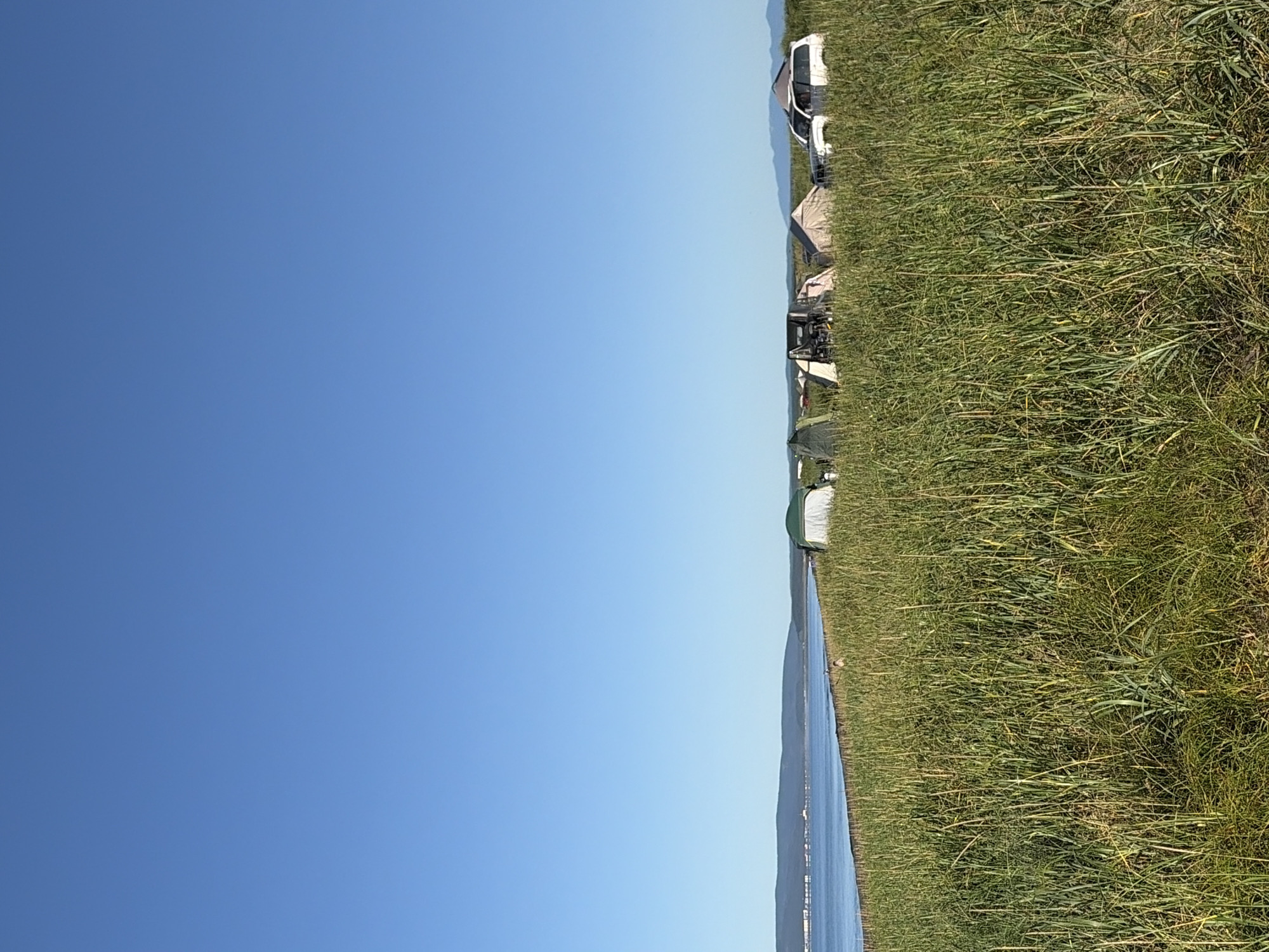 The image shows a campsite on a grassy area next to a body of water, likely a lake or bay, with mountains in the distance. The sky is clear and blue. Several tents and at least one white SUV are visible in the middle ground, suggesting a recreational outing. The foreground is dominated by tall, green grass. The location is identified as Ozerskoe, Russia.