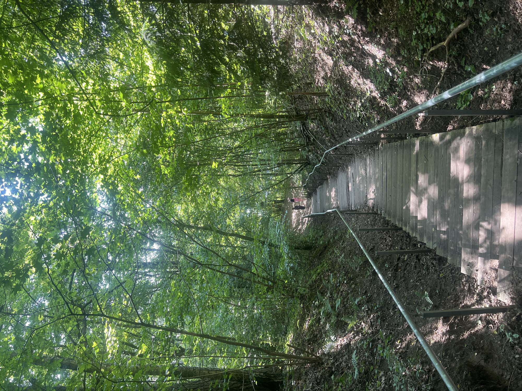 An outdoor, eye-level, vertical shot captures a wooden staircase with metal railings ascending through a densely wooded area. Sunlight filters through the green canopy, casting dappled shadows on the wooden steps. Two figures, appearing to be children, are visible near the top of the stairs, one in a pink garment and the other in a dark garment. The path is surrounded by lush green foliage and trees. The scene is located in Vilnius, Lithuania, at the Belmontas Waterfall area, a popular recreational spot known for its natural beauty.