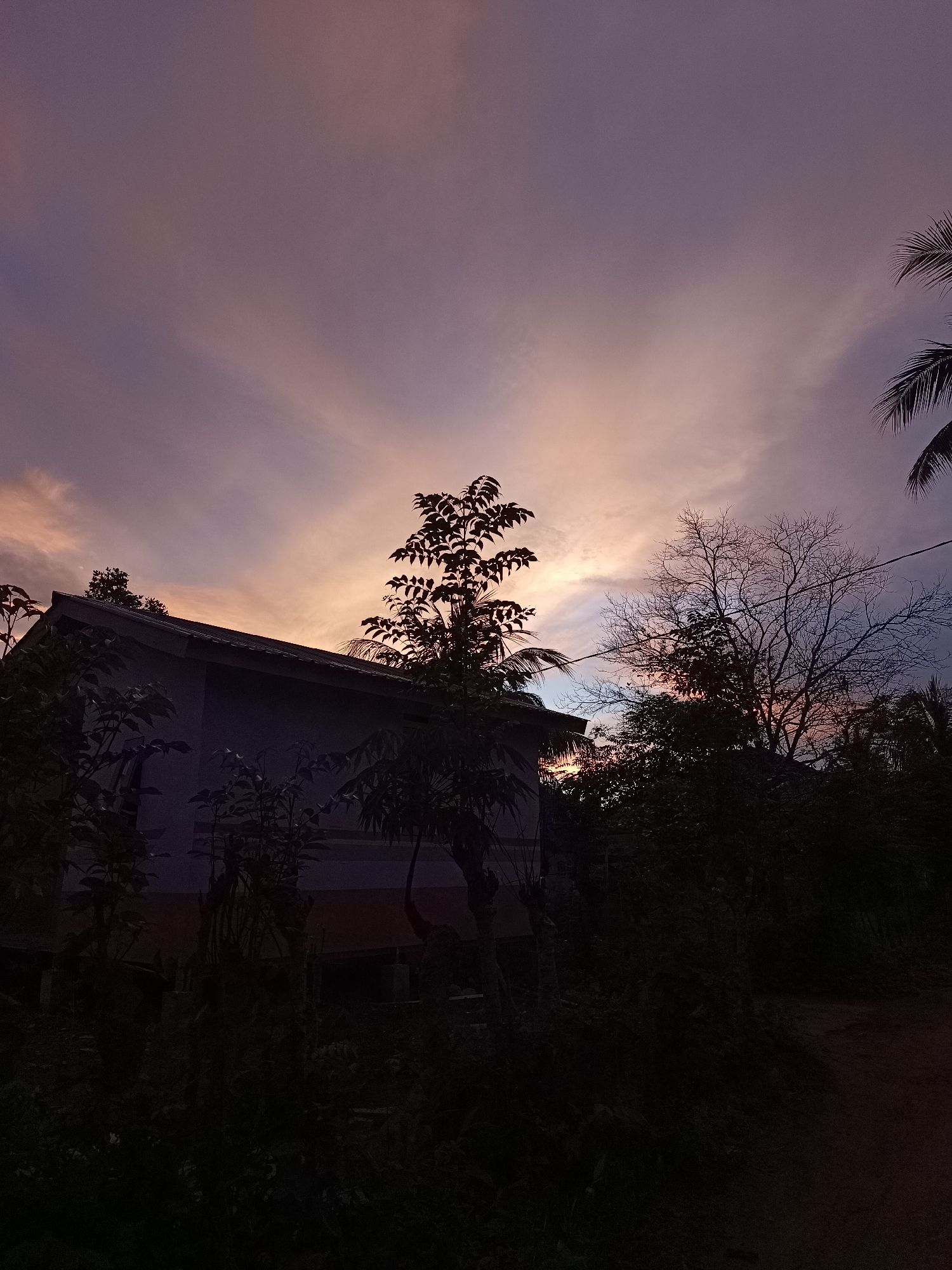 The image depicts a twilight scene in Meunasah Raya, Indonesia. The sky is a canvas of soft purples and oranges, indicative of sunset. A building, possibly a house, is silhouetted against the sky on the left side of the frame. Its roofline is visible, and part of its wall. In the foreground and mid-ground, dense foliage and trees, including a leafless tree with intricate branches, are silhouetted in dark tones. A single power line stretches across the scene. The overall impression is one of a quiet, rural evening. There are no people visible in the image.