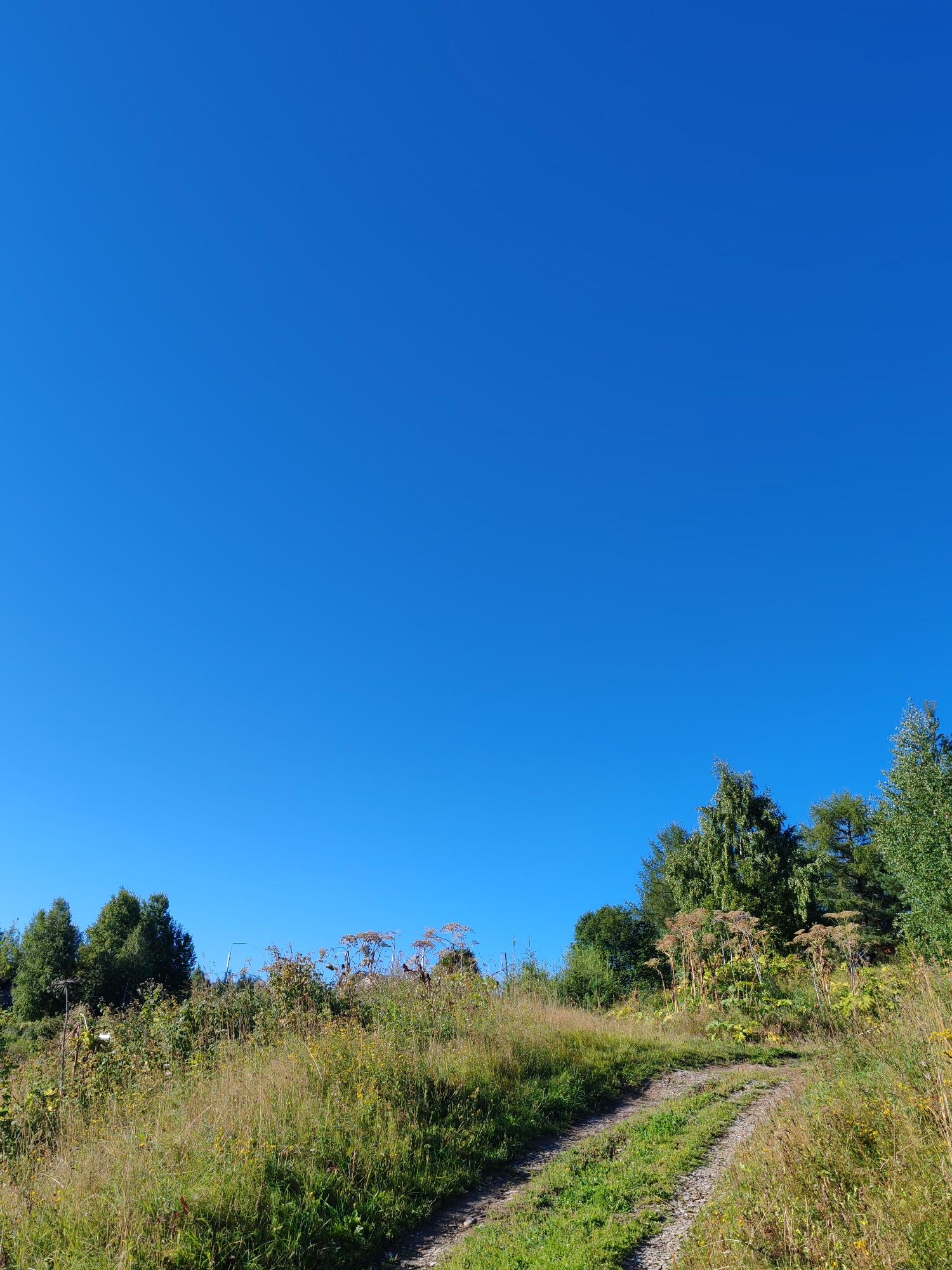 A dirt road winds its way up a grassy hillside under a clear blue sky. Trees are visible on the left and right sides of the road, with taller trees in the background and shorter vegetation, including wildflowers, in the foreground. The road appears to be a two-track path, suggesting it is used by vehicles. The landscape is natural and appears to be in a rural or mountainous area. There are no people or animals visible in the image. The location is described as Chukhlem, Russia.