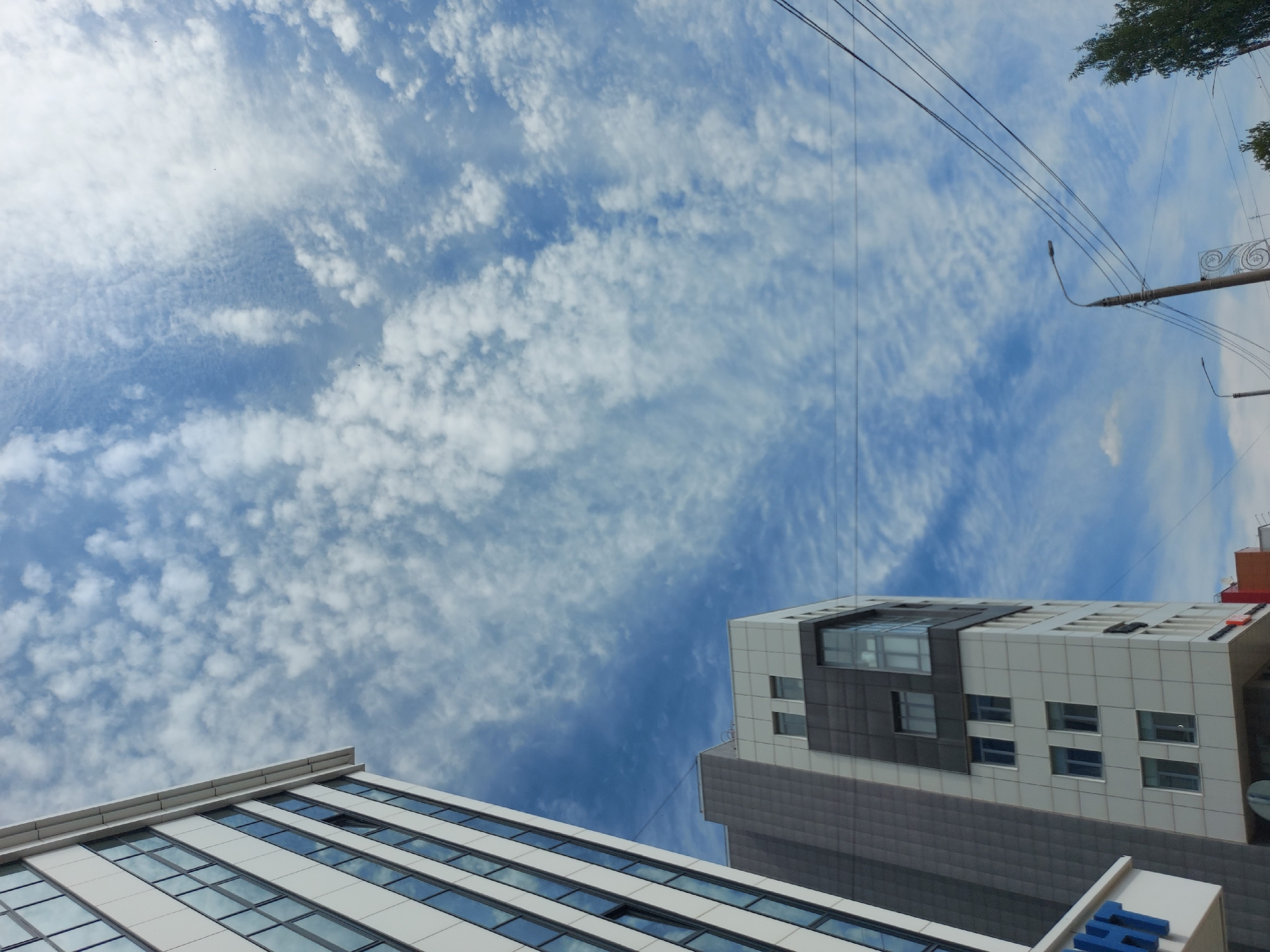 The image presents a low-angle view of the sky over Izhevsk, Russia, framed by two modern buildings and overhead utility infrastructure. The sky is predominantly blue, filled with a distinct pattern of small, fluffy white clouds covering the majority of the visible area. These clouds are evenly dispersed, creating a textured, visually interesting sky.
In the foreground, the bottom portions of two buildings are visible. The building on the left features a facade with horizontal rows of windows, each with a dark frame and reflective glass. The building on the right has a more complex design, with a combination of white and gray panels. A protruding section is highlighted by a large square window. A section of an unidentified sign with blue lettering is visible at the base of the building.
Utility wires stretch across the sky, adding a man-made element to the natural backdrop. A street light with a decorative design on its pole is situated on the right side of the image, partially obscured by a tree.