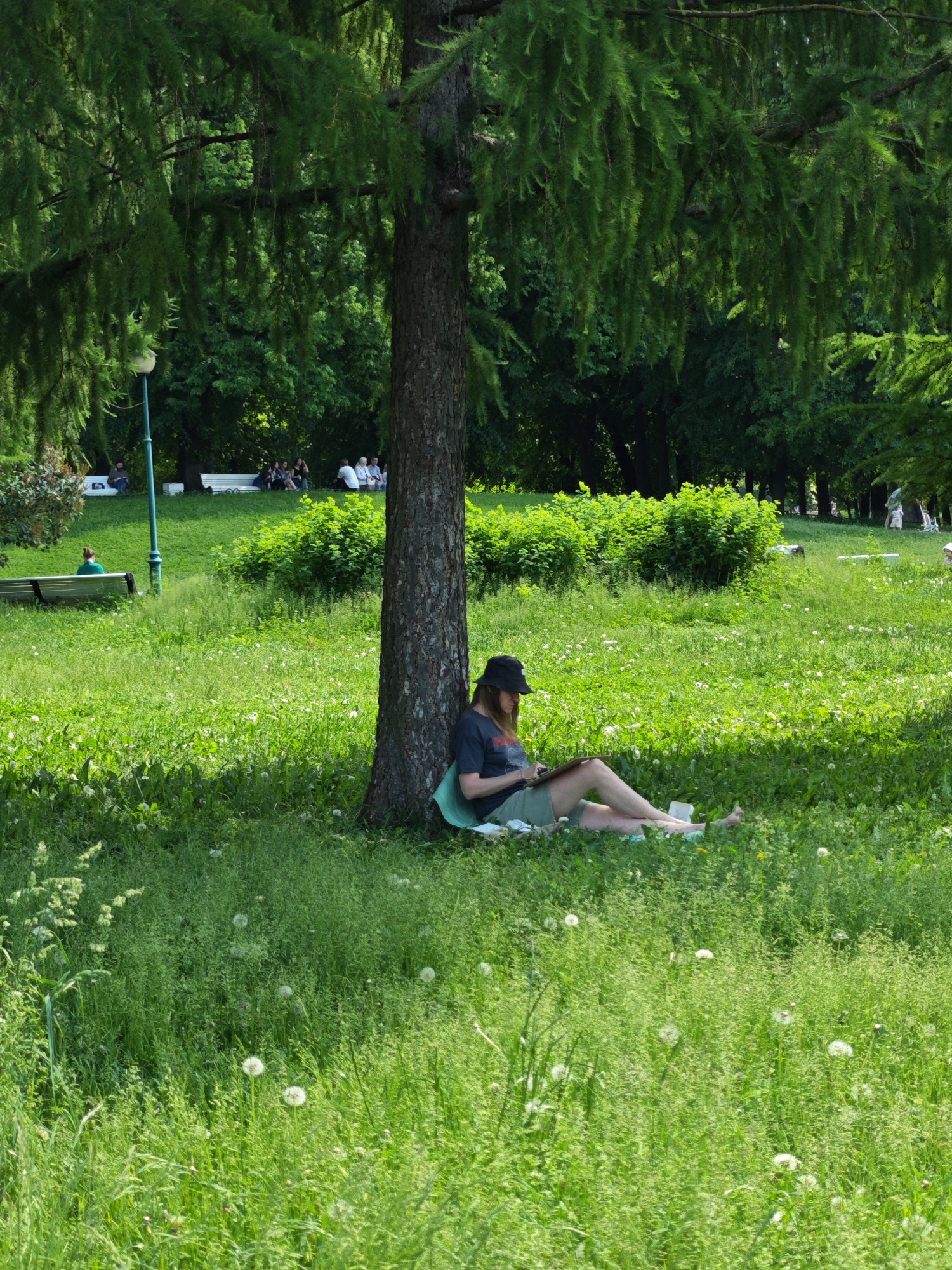 A woman sits on the grass under the shade of a large tree in a park, drawing on a sketchpad. She is wearing a dark t-shirt, green shorts, and a black bucket hat. Her legs are crossed and her feet are bare. A blue mat is underneath her. The park is lush and green, with a large grassy area dotted with dandelions and other wildflowers. In the background, a lamppost is visible, and further back, several people are seated on benches. The overall impression is one of a peaceful, sunny day in a park, likely in Saint Petersburg, Russia, given the style of the lamppost and the presence of lush greenery typical of Russian parks.