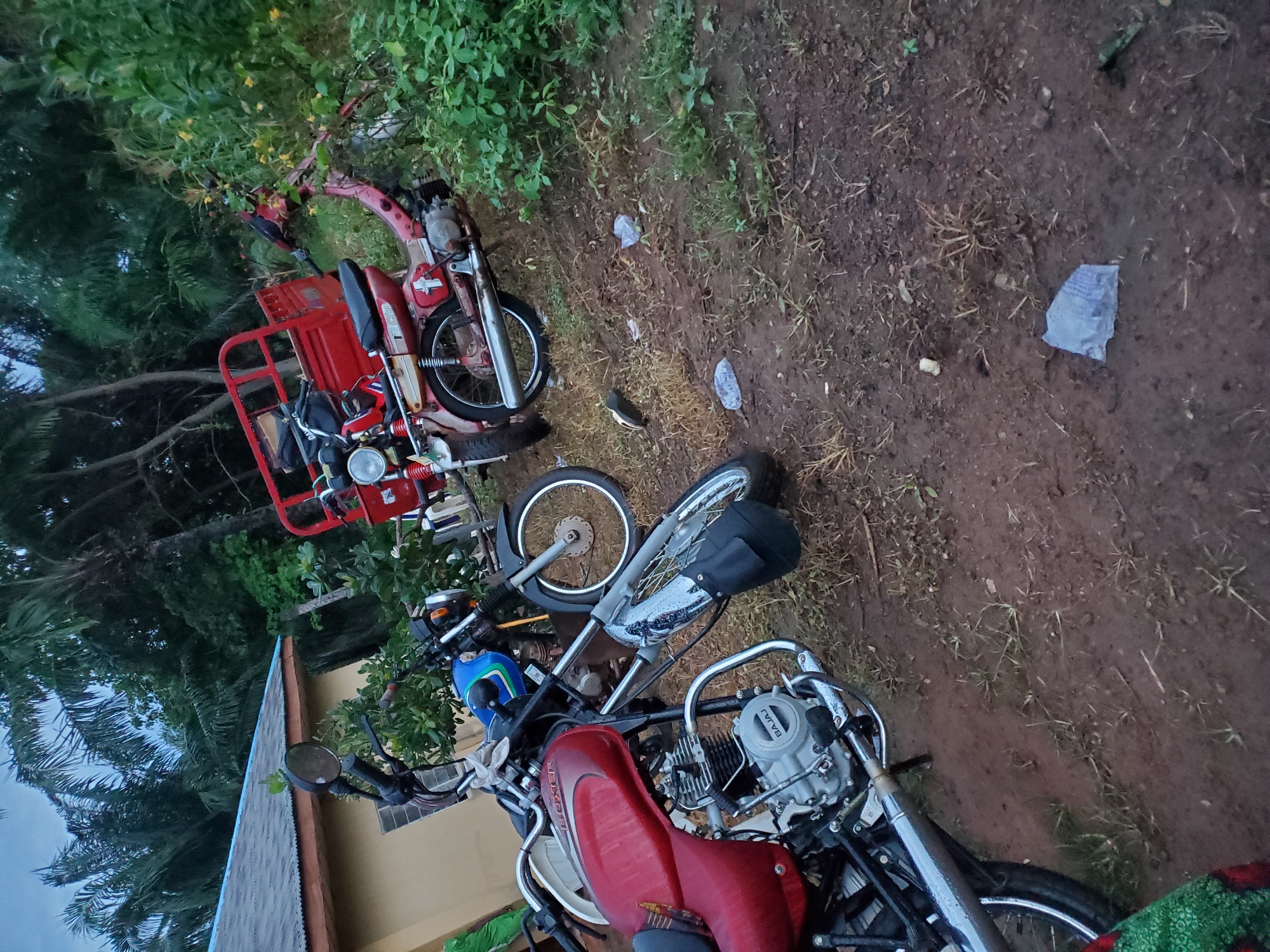An outdoor scene in Oturkpo, Nigeria shows a collection of motorcycles parked on a dirt ground beside a building and overgrown vegetation. In the foreground, a red motorcycle, identified by the "BOXER" emblem on its fuel tank, is positioned prominently. To its left, another motorcycle with a white body and chrome accents is partially visible. Behind these, a blue motorcycle is parked. To the right of the red motorcycle, a red motorized tricycle with a cargo bed is present. The environment is characterized by lush green foliage and trees, suggesting a tropical setting. The sky appears overcast. The ground is a mixture of dirt, dry grass, and some scattered pieces of white and blue plastic debris. The overall impression is one of a residential or commercial area in a rural or semi-urban part of Oturkpo, Nigeria.