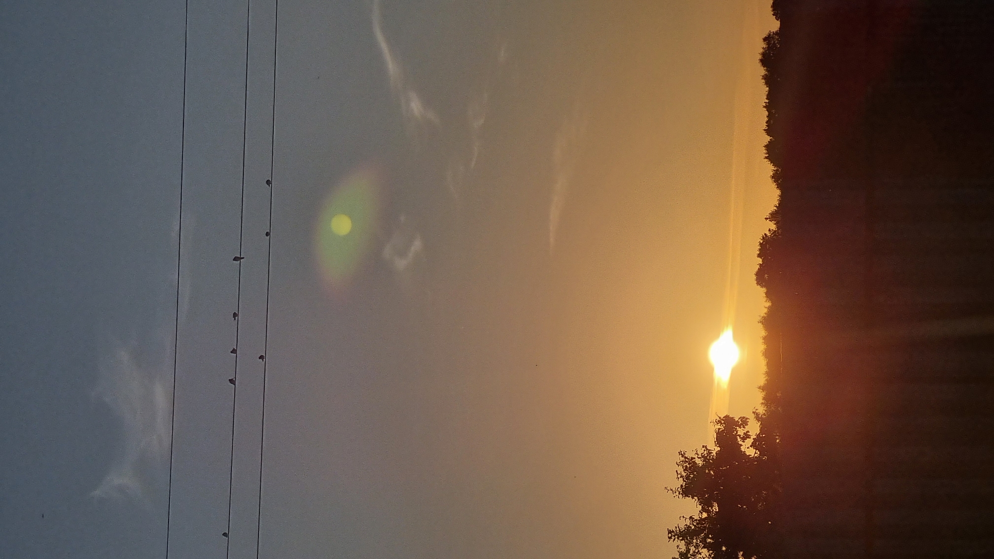 The image shows a sunset over a rural landscape, likely in or near the city of Vysokoe, Russia. The sun is low on the horizon, casting a warm orange glow across the sky. Silhouetted against the sunset are a line of trees and a single tree on the left side of the frame. Several birds are perched on power lines that stretch across the upper portion of the image. The sky is a gradient of blues and oranges, with wispy clouds present. There is also a noticeable lens flare in the upper right quadrant of the image, appearing as a bright yellow circle with a green halo. The foreground is dark and indistinct, suggesting it might be a field or open ground.