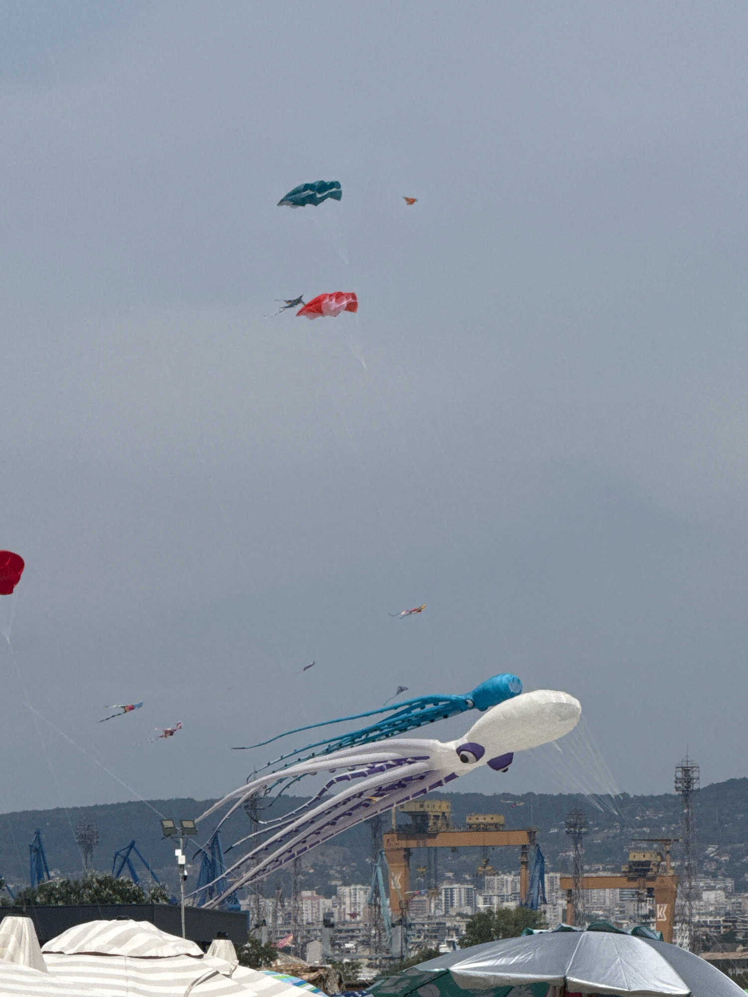 The image captures a kite festival taking place in Varna, Bulgaria. The sky is overcast and filled with numerous kites of various shapes and colors. Prominently featured are two large, inflatable kites in the foreground: one is a white octopus with purple accents and tentacles, and the other is a blue octopus, appearing to be its mate or a similar design. Behind them, various other kites can be seen, including what appears to be a red kite shaped like a manta ray or a similar sea creature, and a smaller blue kite with a distinct shape. In the background, the cityscape of Varna is visible, characterized by buildings, industrial cranes, and port facilities, suggesting the event is taking place near the harbor or a coastal area. The overall scene depicts a lively outdoor event under a cloudy sky.