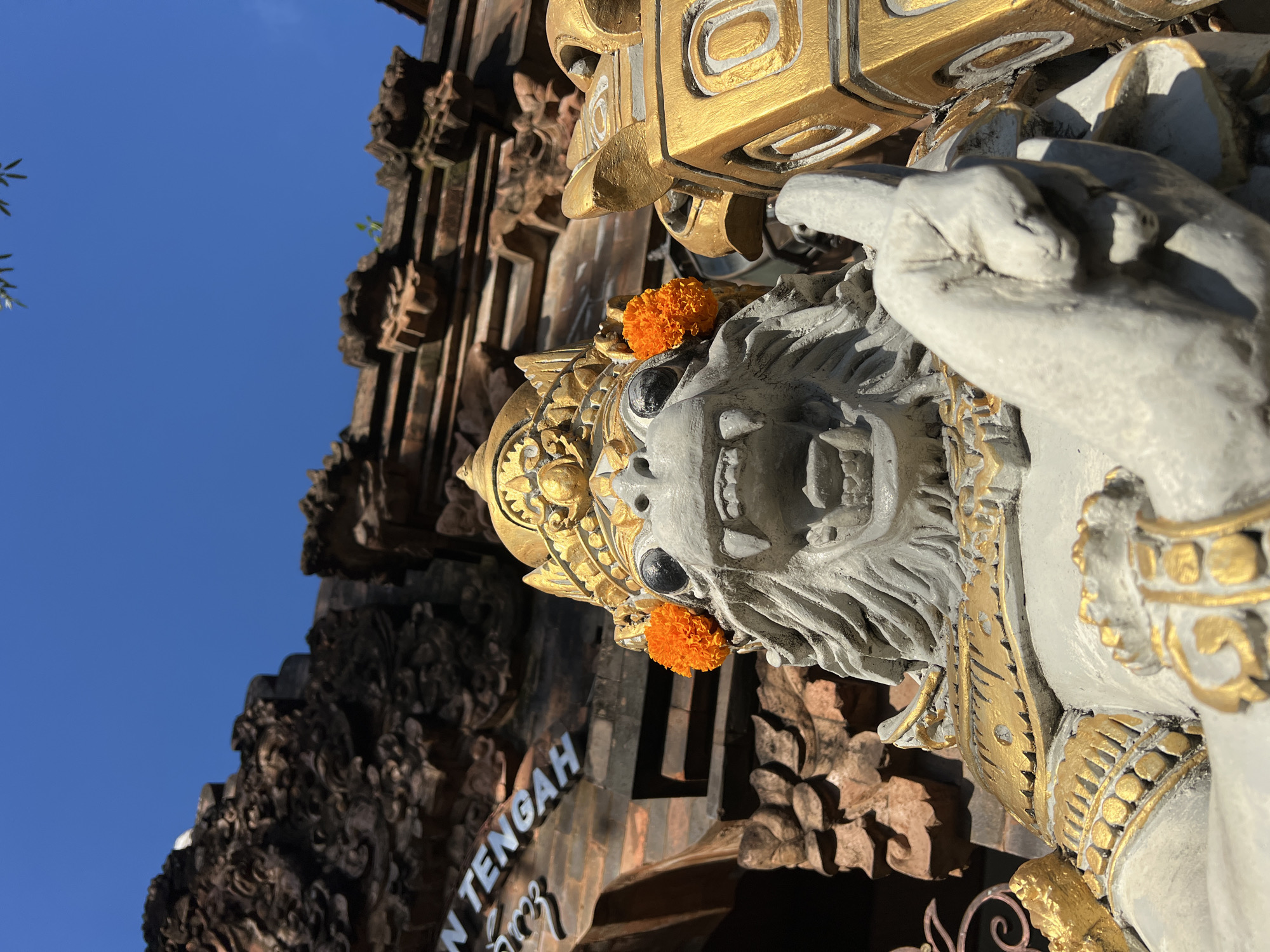 The image presents a close-up, upward-angled view of a traditional Balinese guardian statue, likely a depiction of Hanuman or a similar mythical figure, positioned in front of an ornate temple gateway under a clear blue sky. The statue is predominantly light grey, with intricate gold and white detailing on its crown, armor, and other adornments. It features a fierce, open-mouthed expression with visible fangs and large, dark eyes. Bright orange marigold flowers are placed behind its ears, a common offering in Balinese culture. The statue's right hand is raised, possibly in a gesture of blessing or protection.
In the background, a dark, richly carved stone structure, characteristic of Balinese temple architecture, is visible. It features multiple layers of detailed carvings. Bright sunlight illuminates the scene, suggesting it is daytime with a clear sky.
Partially visible text on the background structure includes "N TENGAH" in Latin script, and below it, some text in Balinese script. The visible text and architectural style indicate the location is a temple or religious site in Bali, consistent with the provided context of Kuta, Indonesia.