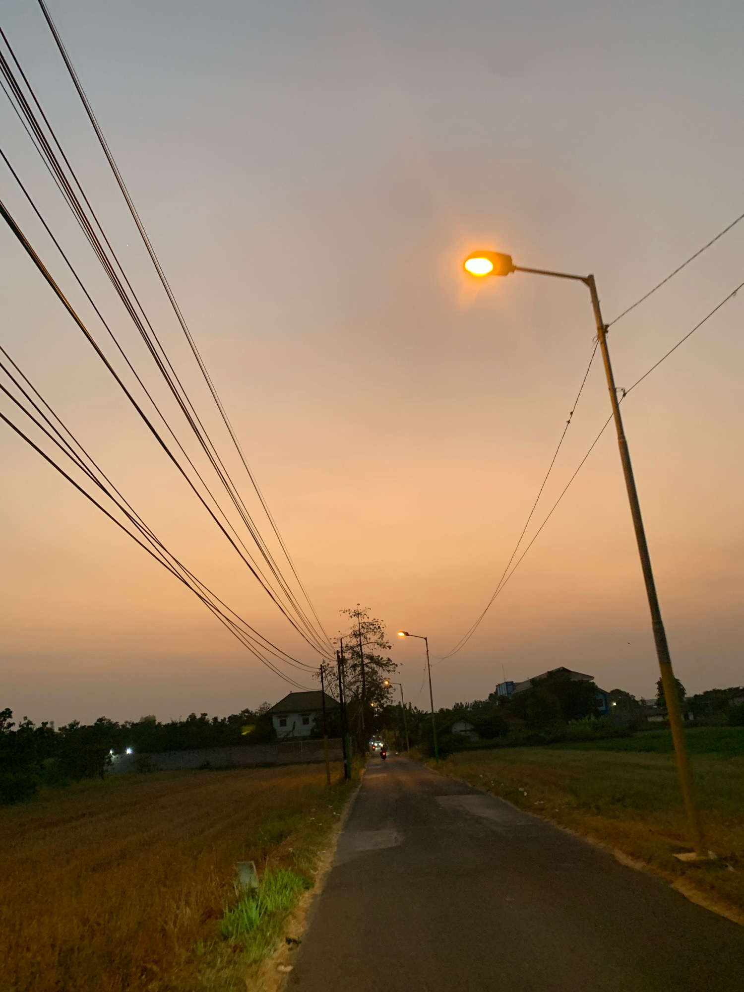 The image depicts a road in Banjaragung, Indonesia, during twilight. Overhead power lines stretch diagonally across the frame, converging towards the right. A street light on the right side of the road is illuminated with a warm yellow glow. Further down the road, another street light is visible, also lit.
The road itself is asphalt and appears to be a rural or suburban street. To the left of the road, a field of dry, yellow grass stretches into the distance, bordered by trees and houses. A few trees are visible along the roadside and in the background.
The sky exhibits a gradient of colors typical of sunset, transitioning from a pale orange near the horizon to a lighter, grayish hue higher up. The overall atmosphere is tranquil and quiet, suggesting the end of the day. There are no people or vehicles clearly visible, though the illuminated street lights and distant house lights indicate a inhabited area. The scene captures a common sight in many Indonesian villages as evening sets in.