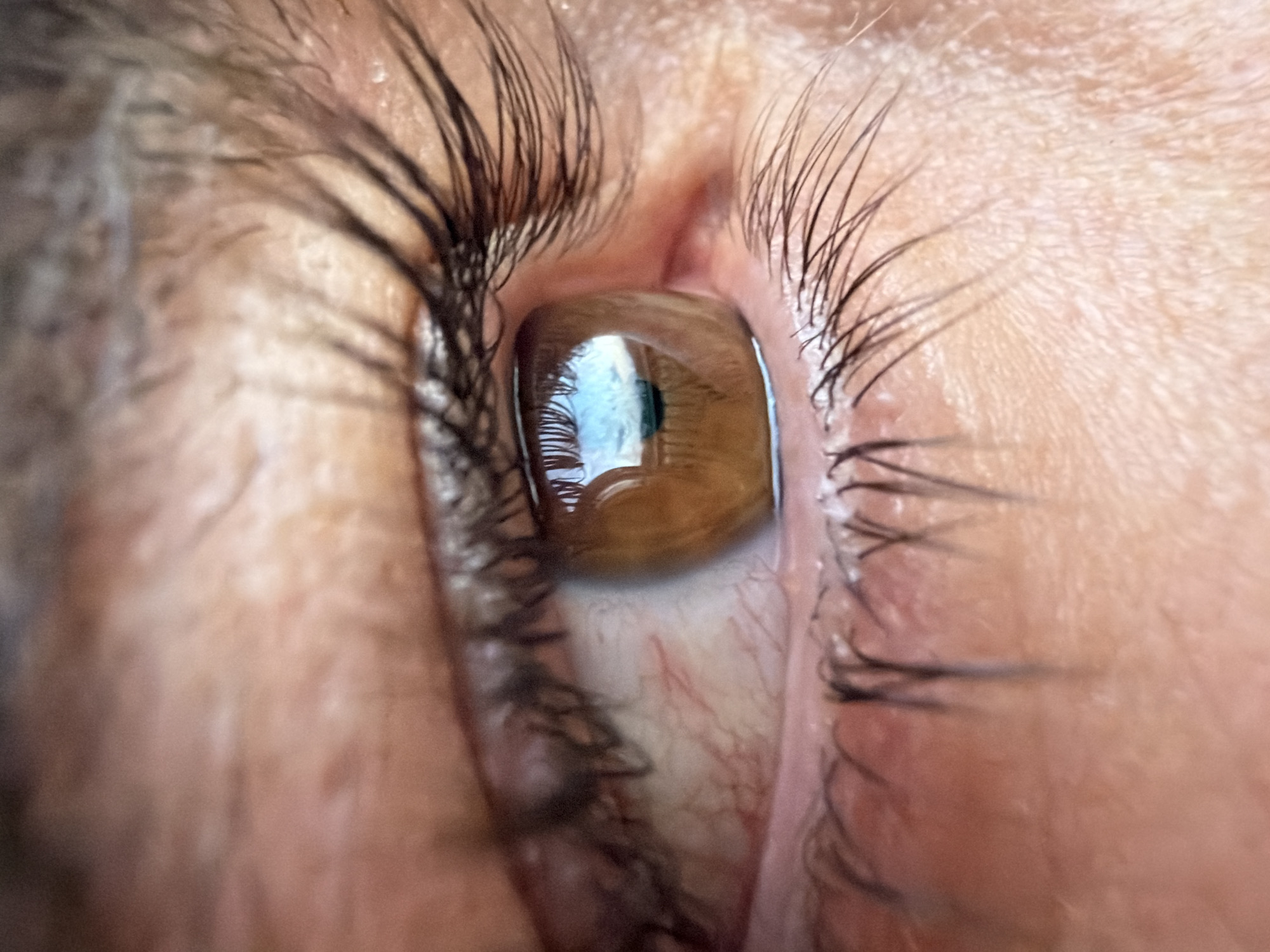 The image is an extreme close-up of a human eye. The iris is a warm brown color, and the sclera shows some visible blood vessels. The eye is reflecting a scene with a bright sky, possibly indicating an outdoor environment. Eyelashes from both the upper and lower lids are prominent. The surrounding skin appears to be fair-skinned with some texture. The image does not contain any information that would allow for the determination of its location in Florești, Romania, or any other specific city. There are no people, objects, actions, or interactions depicted beyond the eye itself.