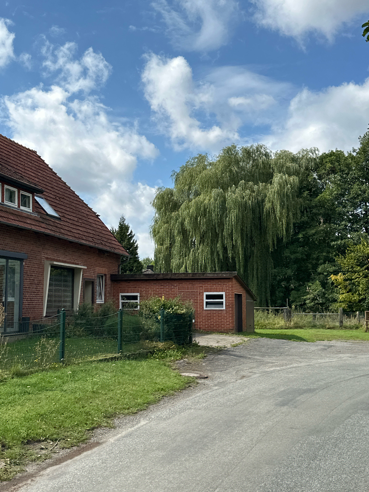 The image depicts a residential property in the Samtgemeinde Thedinghausen, Germany. A brick house with a red tile roof is visible on the left, featuring several windows and a skylight. Adjacent to the house is a smaller brick outbuilding with a single window and a dark door. The property is enclosed by a green metal fence, and a gravel driveway leads to the outbuilding. Lush green grass and various plants surround the structures. In the background, a large weeping willow tree dominates the scene, with dense green foliage. Behind the willow, a cluster of mature deciduous trees forms a natural backdrop. The sky is a clear blue with scattered white cumulus clouds. The overall setting suggests a rural or suburban environment.