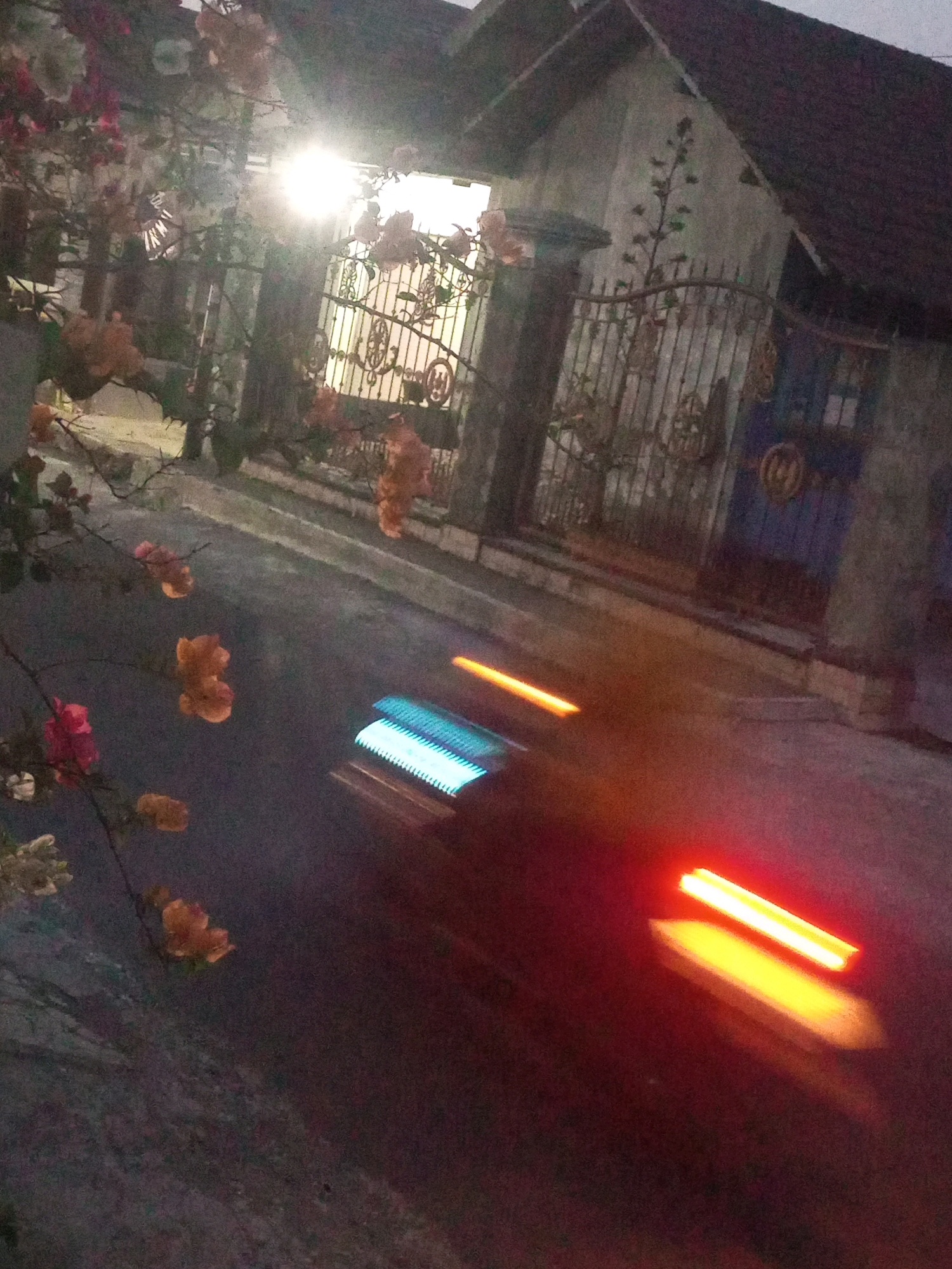 A long exposure photograph captures a street scene at night in Ngasem, Indonesia, with a focus on the blurred motion of passing vehicles. In the foreground, branches of flowering plants with orange and pink blossoms are visible on the left side, with some appearing to be Bougainvillea. The street itself is dark asphalt, with two distinct light trails indicating the movement of vehicles. One trail is a bright, electric blue, suggesting headlights or interior lights of a vehicle. The other trail is a vibrant orange-yellow, likely from taillights or brake lights.
In the background, a house with a dark tiled roof and light-colored walls is partially visible. An ornate metal gate, likely part of the property's entrance, stands in front of the house. A bright outdoor light source illuminates the area around the gate. The overall impression is a nocturnal street view, characteristic of a residential area in Indonesia.