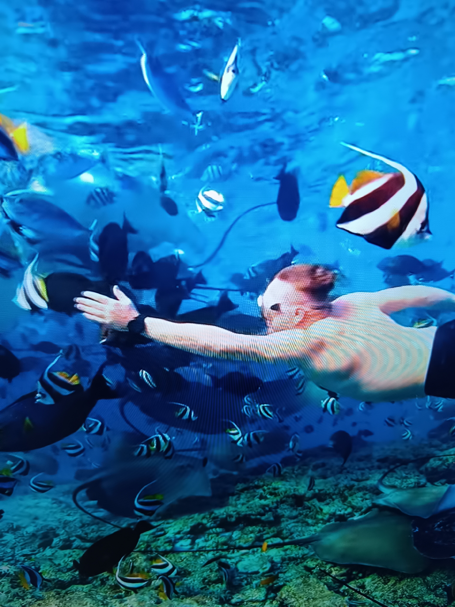 A person swims underwater surrounded by a school of fish and stingrays. The person is shirtless and wearing dark swim trunks. Their left arm is extended forward, and their right arm is bent at the elbow. The water is clear and blue, with sunlight filtering down from the surface. The seabed is visible, with rocks and coral formations. The location is the city of Taraz, Kazakhstan.