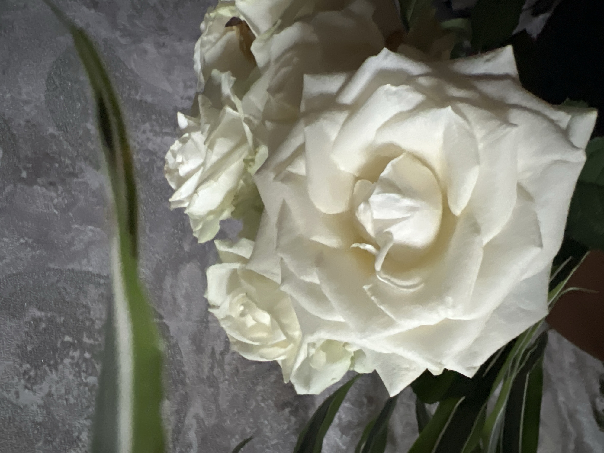 A close-up shot of a bouquet of white roses is displayed against a gray textured background. The roses are the focal point, their petals tightly swirled in the center and gradually opening outwards. Several other buds and stems are visible, with some green foliage interspersed. The lighting appears to be soft, casting subtle shadows that enhance the texture of the petals. No people, actions, or interactions are visible in the scene. There is no evidence of location in the city of Sochi, Russia.