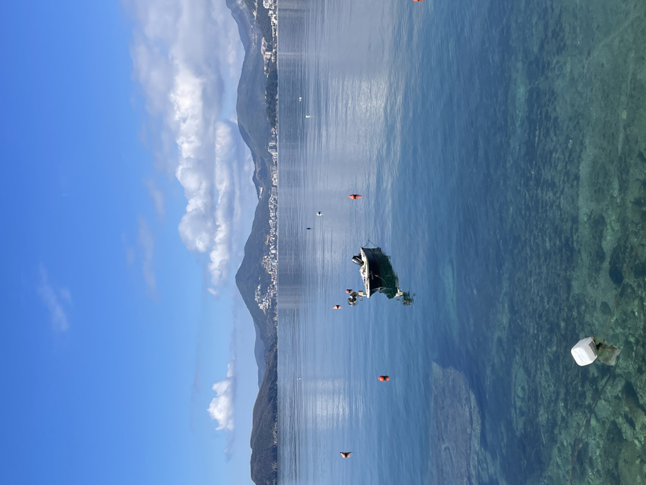 The image displays a clear coastal panorama in Sveti Stefan, Montenegro, looking across calm water towards a distant developed coastline. The sky is bright blue with scattered white cumulus clouds, particularly concentrated along the horizon and in the upper right quadrant. In the background, a range of green hills and mountains rises, featuring numerous light-colored buildings of a coastal town or city situated along the shoreline and slopes.
The foreground and mid-ground are occupied by clear, tranquil water, transitioning from a darker blue in the mid-distance to a lighter turquoise-green closer to the viewer, where the rocky seabed is visible through the transparent surface. The water surface is smooth, reflecting the sky and distant land.
A single small, white, open-top motorboat is moored in the mid-ground, slightly to the right of the frame's center. It is equipped with an outboard motor and a light-colored, pole-like structure extending vertically from its stern. The boat's reflection is sharply defined on the water's surface.
Multiple navigational markers are present in the water: seven orange, conical buoys are visible at various depths in the mid-ground, and two white, cuboid buoys are situated in the immediate foreground, partially submerged. A single small, dark buoy is visible in the mid-ground further to the left. No people, active interactions, or dynamic actions are depicted.