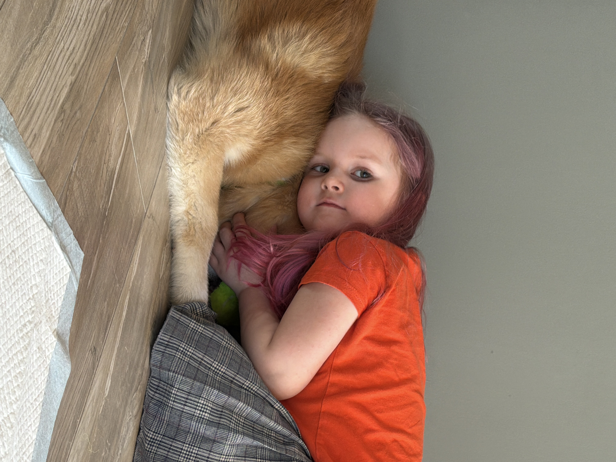A young girl with pink-tinged hair lies on the floor next to a golden retriever. She wears an orange t-shirt and plaid pants. A green ball is visible near her hand, which rests on the dog. The floor is wood-patterned, and there is a white, absorbent pad in the corner. The background wall is grey. It is not possible to determine the location as Chaikovsky, Russia from the image provided.