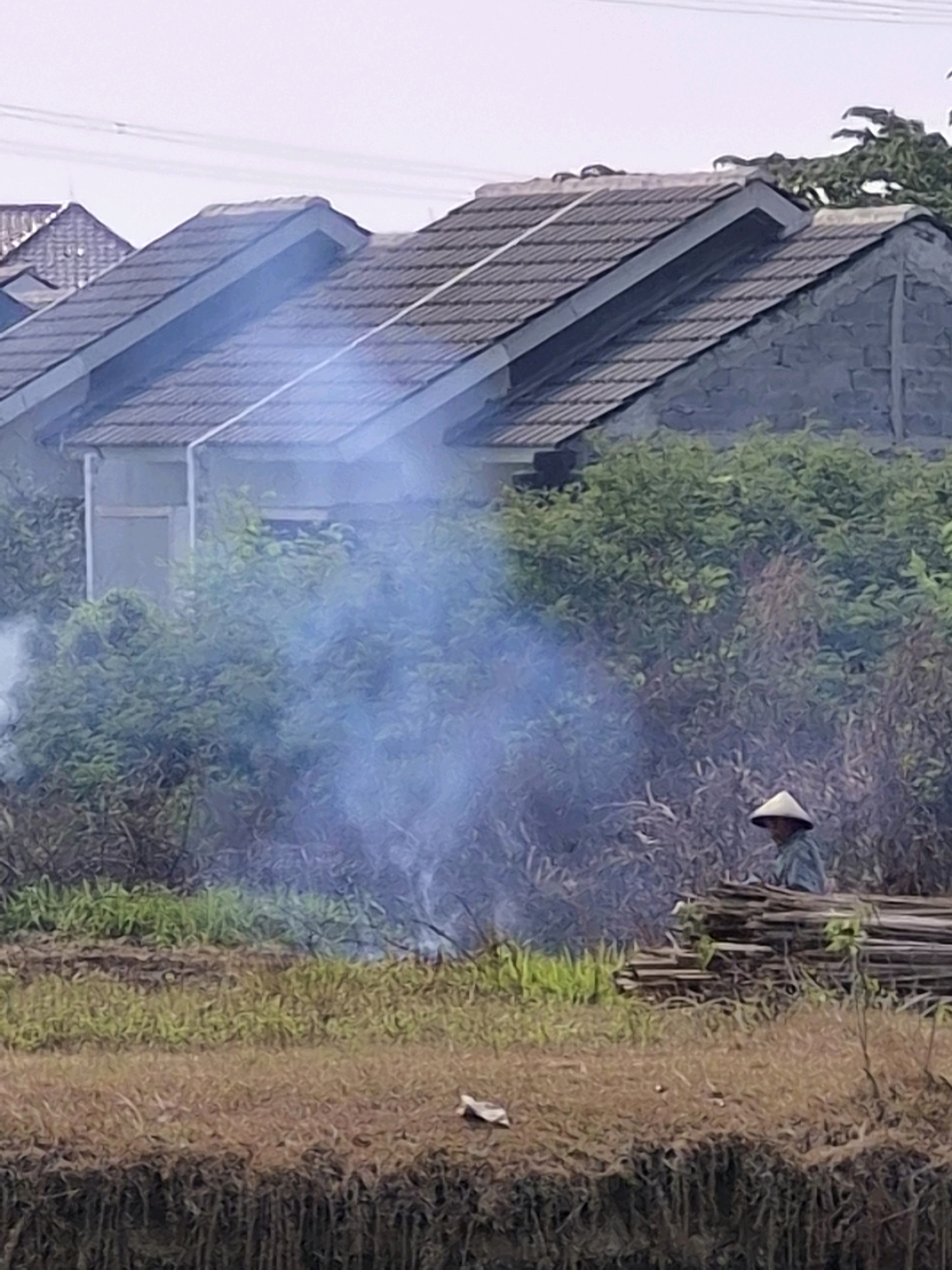 In Srimahi, Indonesia, a scene unfolds featuring a rural setting with a backdrop of houses and lush vegetation. A person wearing a conical hat stands near a pile of stacked wood. White smoke emanates from the ground, suggesting a controlled burn or a fire. The foreground consists of dry grass and a natural embankment, indicating an outdoor environment possibly near a body of water. The houses in the background appear to be modern residential structures with tiled roofs. The overall impression is of a day-to-day activity in a semi-urban or rural Indonesian landscape.