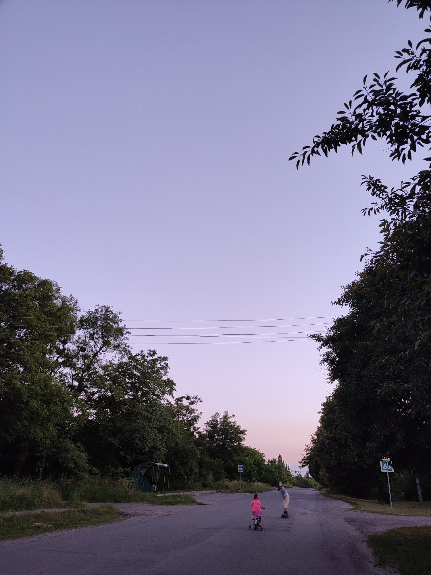 In Shyshaky, Ukraine, a paved road runs through a rural area with dense foliage on either side. A child on a small pink bicycle is on the road, facing away from the viewer. Beside the child, an adult on a scooter stands facing the child. In the background, a bus stop shelter is visible on the left side of the road, partially obscured by trees. Traffic signs indicating a pedestrian crossing are present on both sides of the road. The sky displays a gradient of light purple to pink, suggesting dusk. Power lines are strung across the sky between trees.