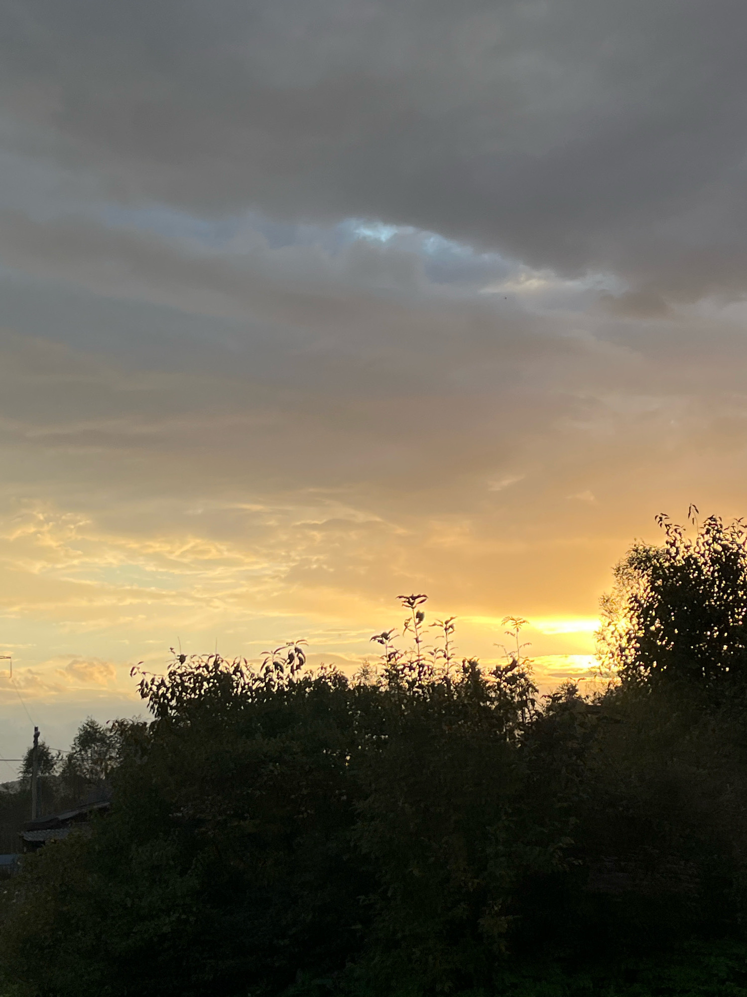The image captures a sunset over a rural or suburban area, likely in Nizhny Tagil, Russia. The sky is filled with dramatic clouds, with a bright orange and yellow glow emanating from the setting sun, which is partially obscured by trees. The lower portion of the image is dominated by a dense line of dark green trees and foliage, silhouetted against the colorful sky. In the distance, faint structures that appear to be houses or buildings can be seen, along with a utility pole. The overall impression is one of a tranquil evening scene.