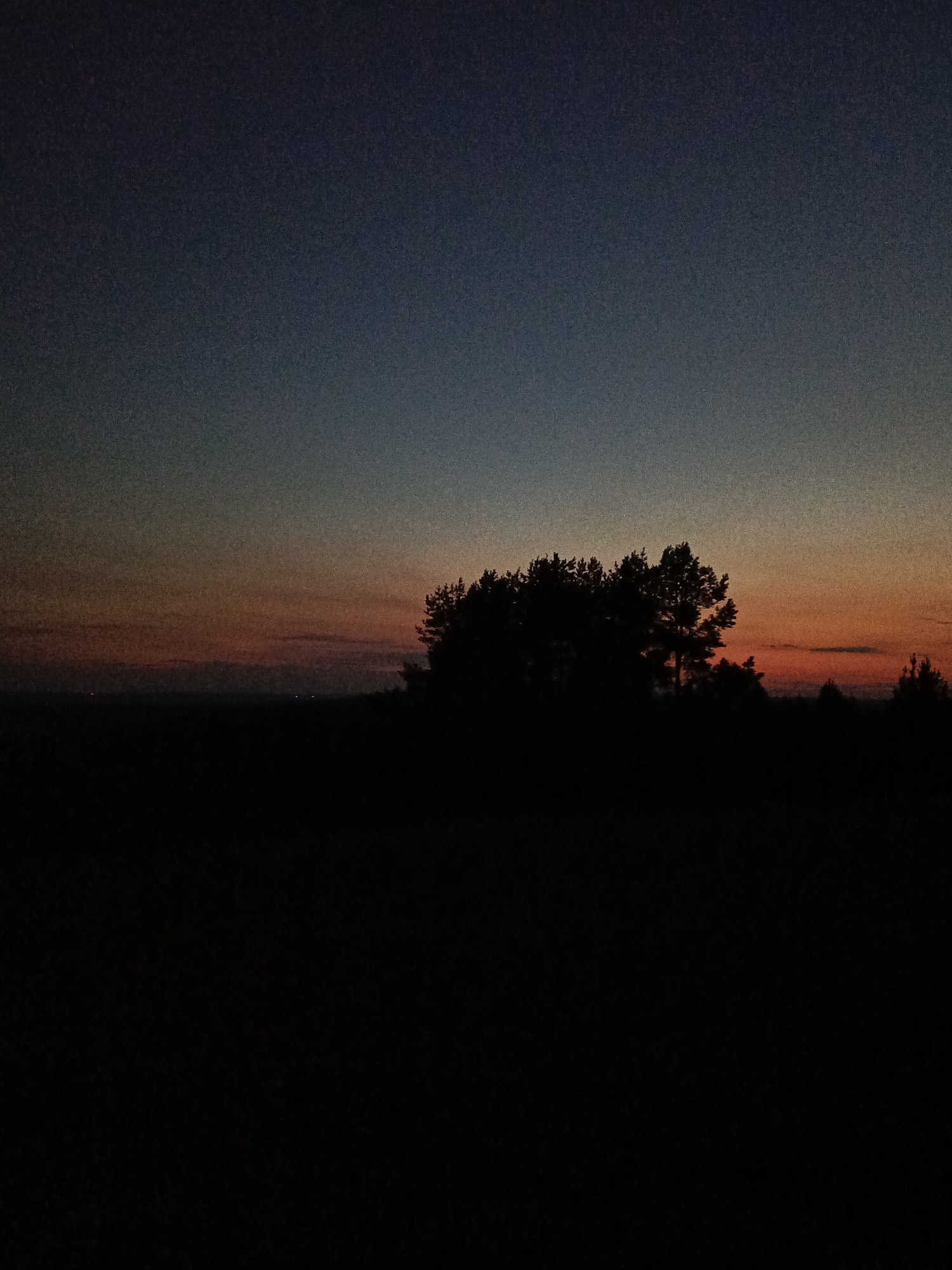 The image depicts a silhouetted landscape at dusk. A cluster of trees, likely pines due to their conical shape, stands prominently in the middle ground, silhouetted against a gradient sky. The sky transitions from a deep indigo at the top to hues of orange and pink near the horizon, indicative of a sunset. The foreground is entirely dark, obscuring any details of the terrain. In the far distance, faint lights suggest a human settlement. The location of Чумна, Russia, is not discernible from the visual information provided in the image itself.