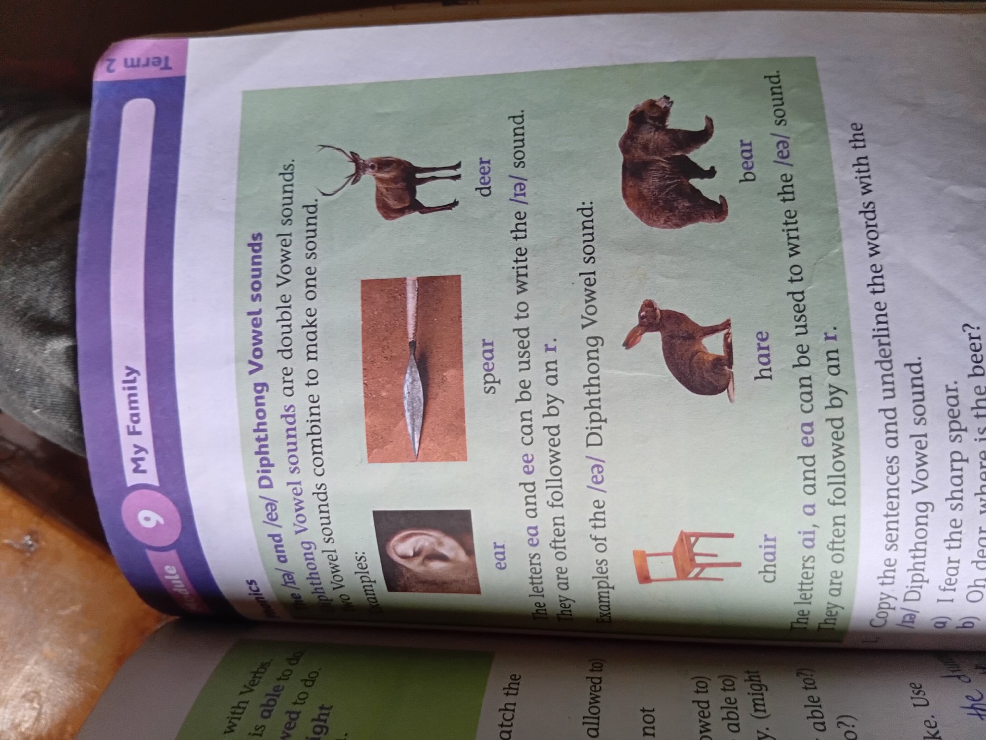 The image shows an open book with light green pages. The text on the page discusses vowel sounds, specifically the digraphs "ea" and "ee," and diphthong vowel sounds. There are several images of animals: a rabbit, a bear, and a deer, as well as an image of an ear and a spearhead. The book also displays a picture of a wooden chair. A purple sidebar on the right side of the image has the text "My Family" and the number "9" in a circle. Below this, it says "Term 2." The book appears to be a school textbook. The lighting suggests it is indoors. The background is a blurred image of a wooden surface, possibly a table or furniture. There is no indication of the location within Nkpor, Nigeria.