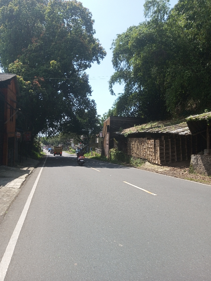 The image depicts a paved two-lane road in Beteng_Pangkhar_Somthrang, Bhutan, under a clear, bright sky. The perspective is from the road level, looking forward into the distance. On the left side of the road, a concrete shoulder parallels a large, multi-story building constructed with dark brown wood and a dark roof, partially obscured by extensive green foliage from an overhead tree. Further down this side, indistinct structures and additional vegetation are visible. On the right side, a gravel shoulder leads to a long, low-lying structure with a corrugated metal roof. Beneath this roof, a large quantity of wooden pallets is neatly stacked horizontally, forming a storage wall. Behind this structure, a steep, densely vegetated hillside with numerous trees, including bamboo, rises.
Vehicular traffic is present. In the mid-ground, a dark-colored scooter or motorcycle with a single rider is traveling away from the camera, positioned towards the center of the right lane. Further down the road, a light brown flatbed truck is also moving away from the viewer, followed by several other indistinct vehicles. No pedestrians are visible on the road or sidewalks. The environment is characterized by a mix of natural vegetation and human-made structures flanking a main thoroughfare.