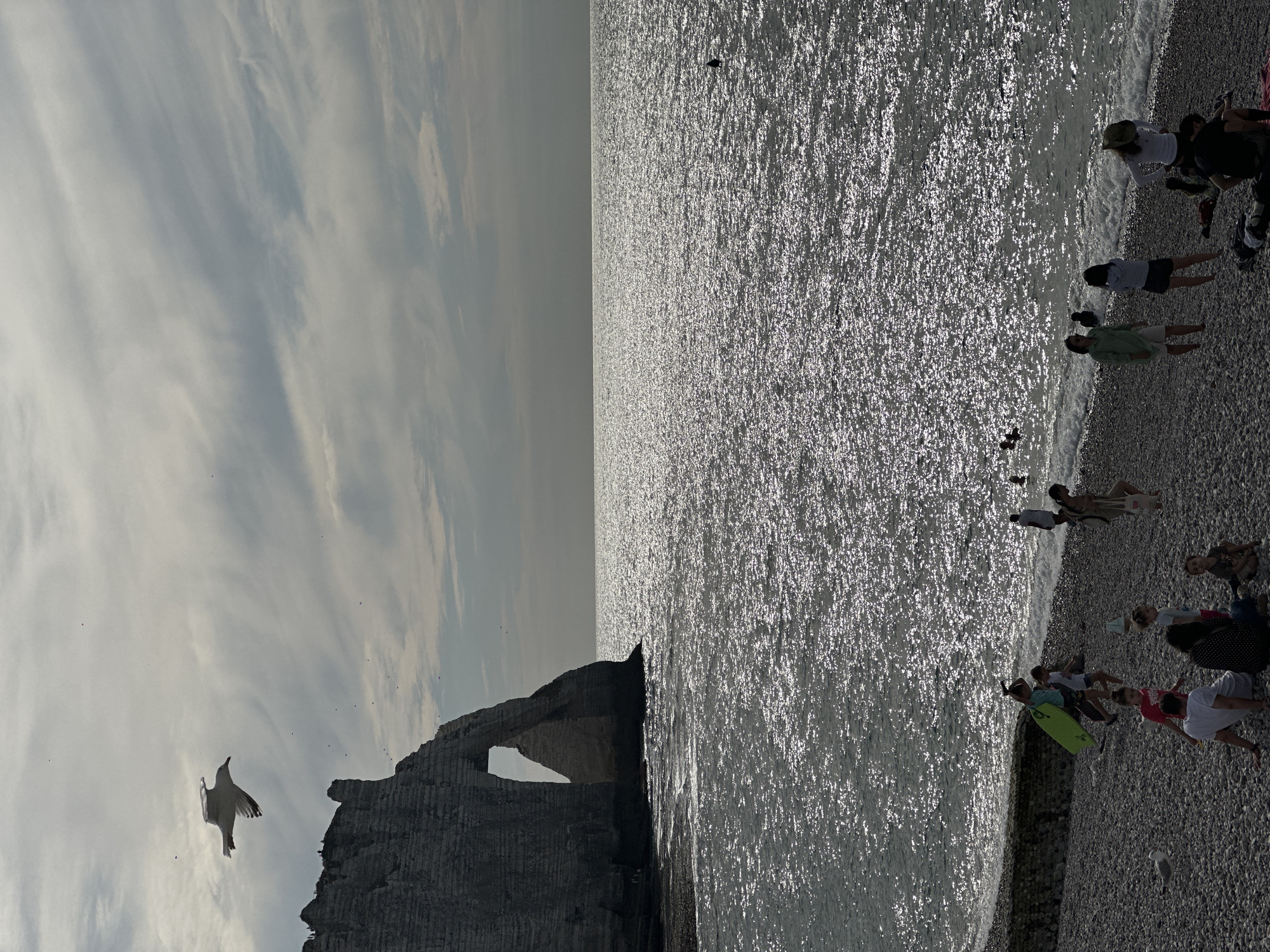 A view of the Falaise d'Aval cliff in Étretat, France, from a pebble beach. The cliff is a large rock formation with a natural archway. The sea is calm and reflects the sunlight, creating a shimmering effect. Several people are scattered on the beach, some sitting and others standing. A few are wading in the water. A seagull is flying in the sky above the cliff. The sky is cloudy.