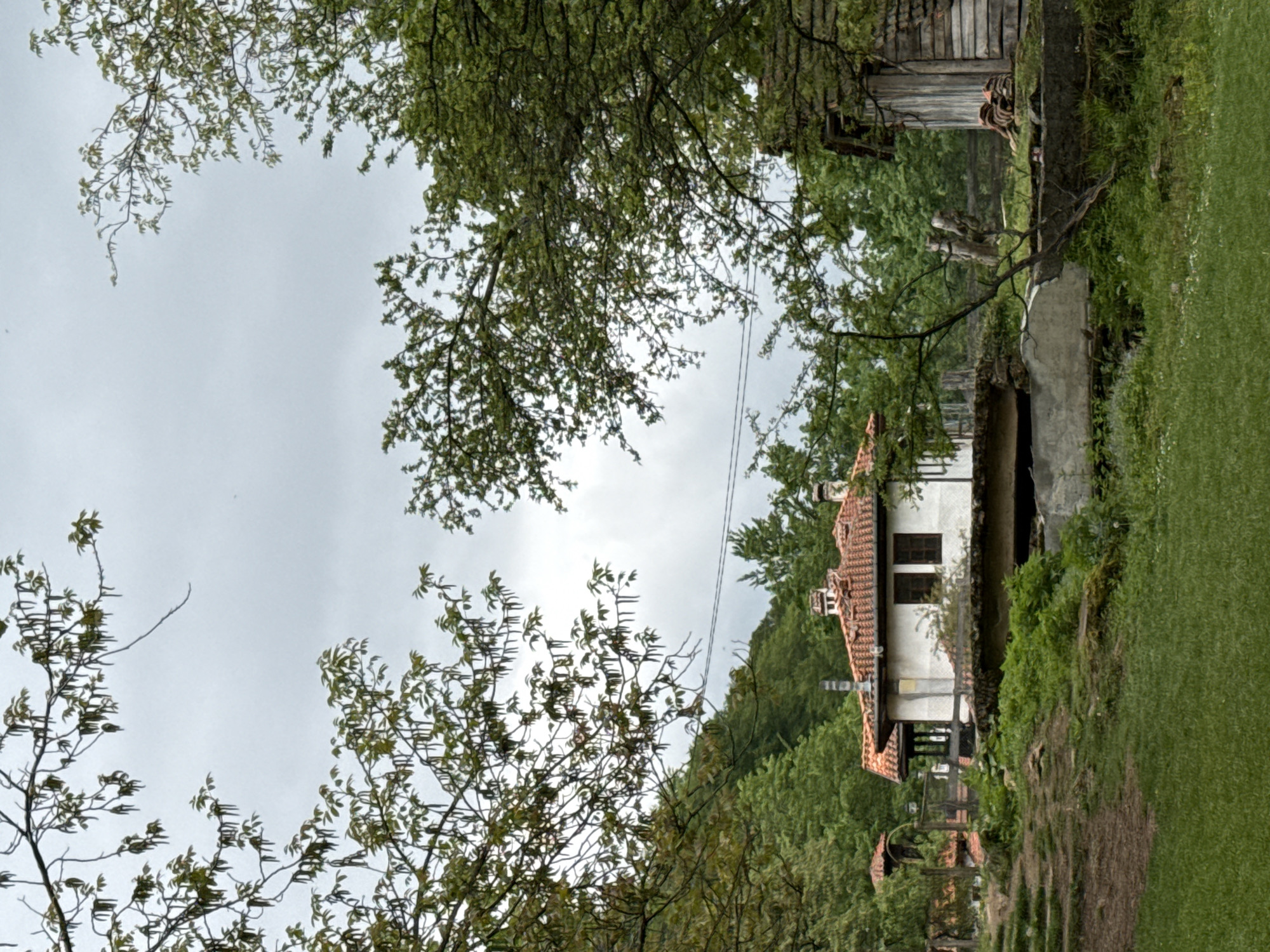 The image depicts a scene in Ribaritsa, Bulgaria, showcasing a building with a white facade and a red tile roof nestled among trees and greenery. A grassy area is visible in the foreground. The sky is overcast, and branches from trees frame the view in the upper portion of the image. Another structure, possibly made of wood, is partially visible above and to the right of the main building. Power lines stretch across the sky between the trees. The scene appears natural and rural.