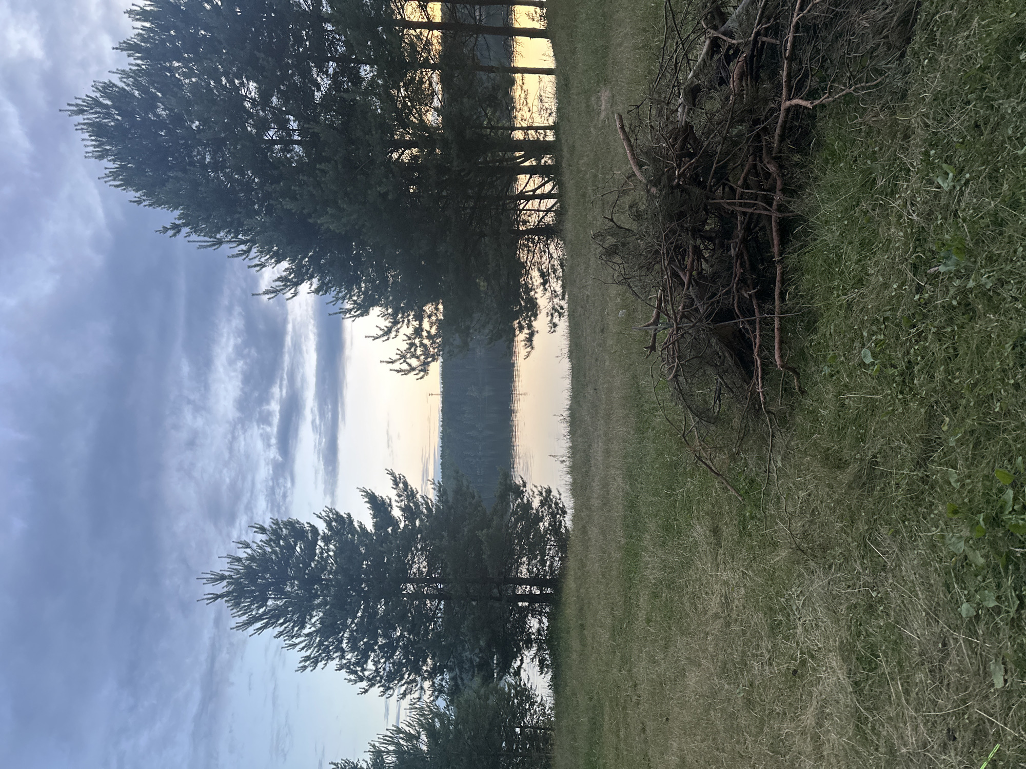 This is a vertical, outdoor, eye-level shot taken at Krutets, Russia, likely during the late afternoon or early evening based on the soft, warm light reflecting off the water and the sky. The scene depicts a natural landscape featuring a body of water, likely a lake or river, bordered by a forest on the far side. In the foreground, there is a grassy area with scattered dead branches and tree limbs, suggesting recent clearing or a natural accumulation of debris.
Several evergreen trees are visible on the left side of the frame, their dark silhouettes contrasting with the lighter sky. The sky itself is partially cloudy, with wispy, high-altitude clouds catching the light. The water appears calm, with reflections of the trees and the sky visible on its surface. The overall mood of the image is serene and tranquil, evoking a sense of peace in nature. There is no visible text in the image.